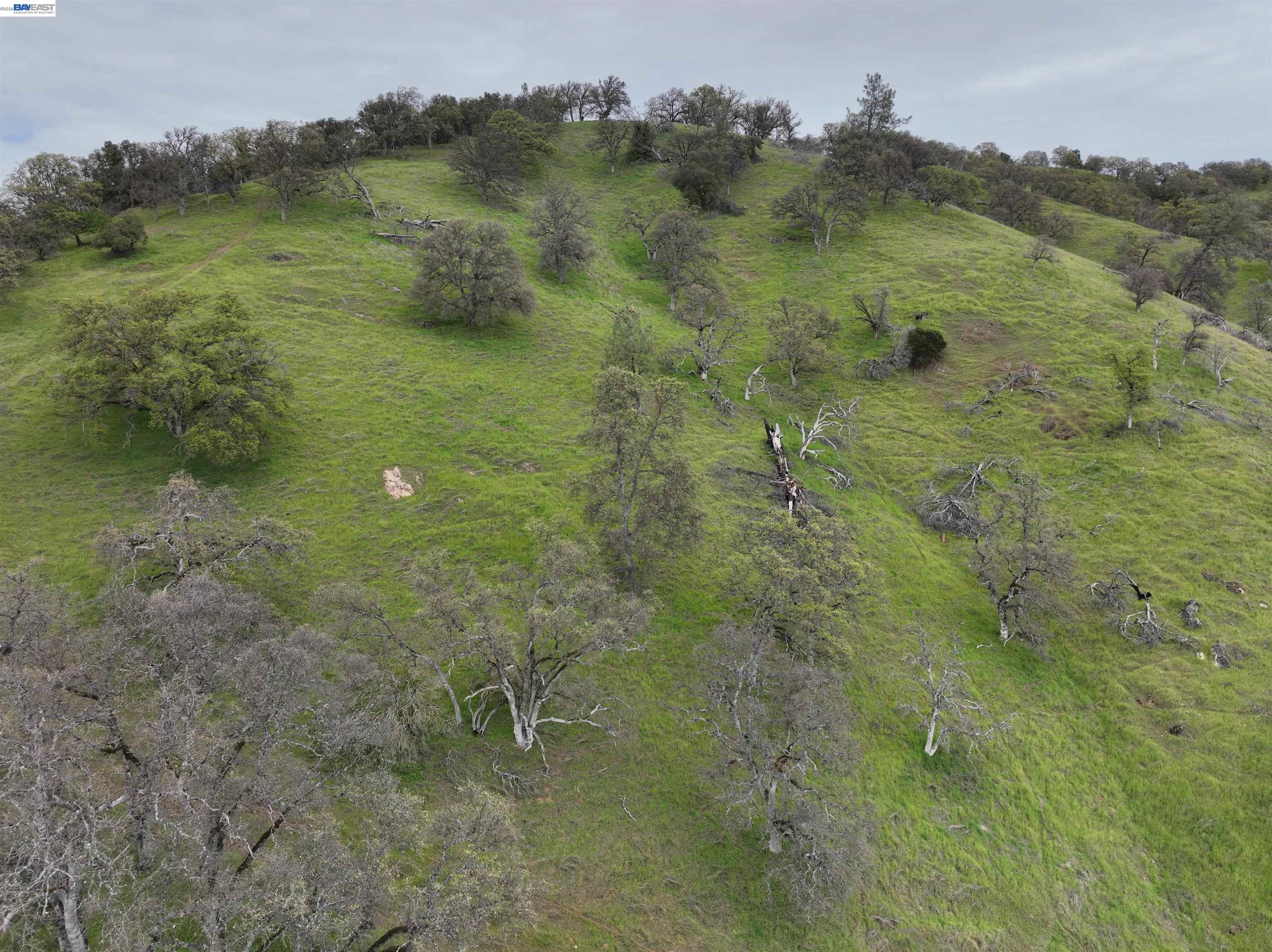 Detail Gallery Image 19 of 41 For 11130 Lakeshore Dr, Clearlake,  CA 95424 - – Beds | – Baths