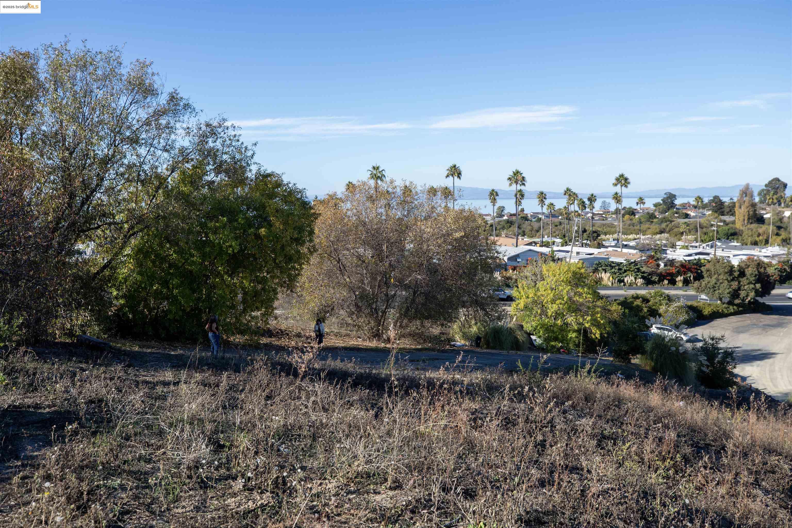 0 San Pablo Ave, San Pablo CA 94806 — photo 5