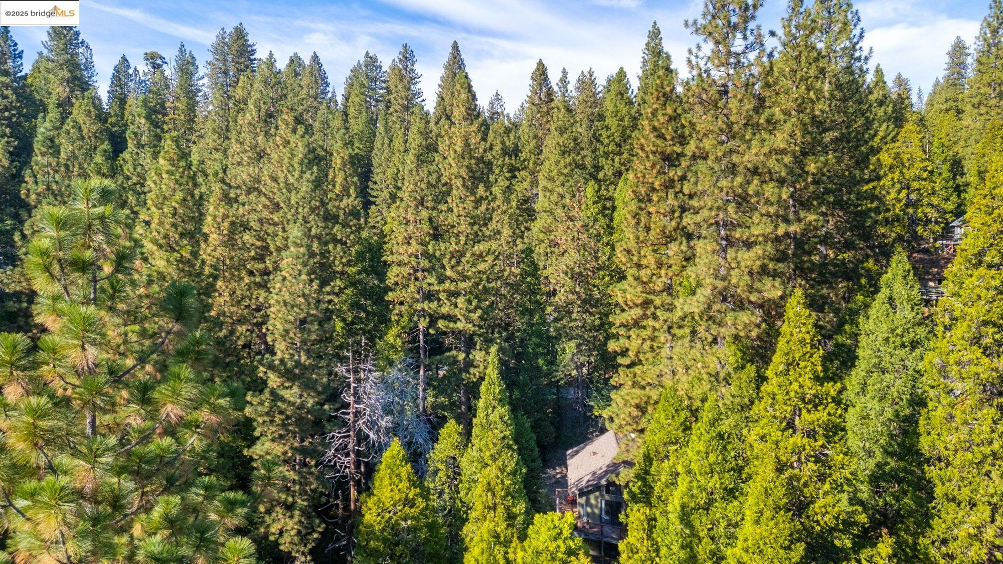 26389 Siskiyou Dr., Long Barn CA 95335 — photo 39