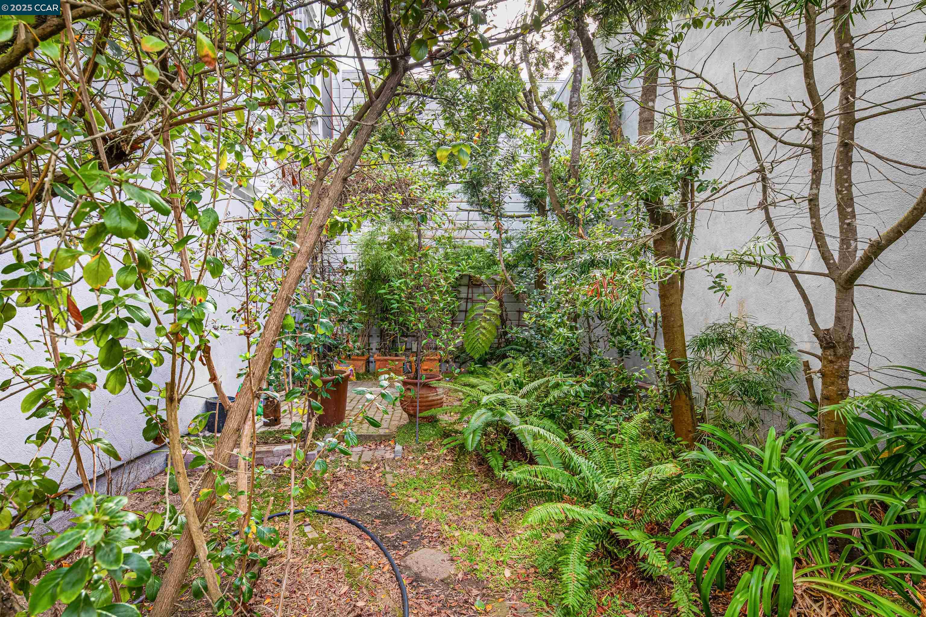 813 47Th Ave UNIT 2, San Francisco, CA, 94121