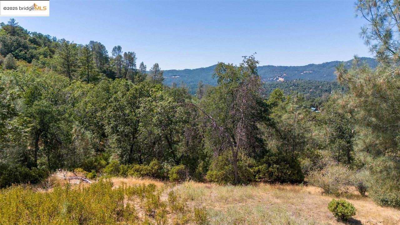 15899 Parkridge Ave, Sonora CA 95370 — photo 7