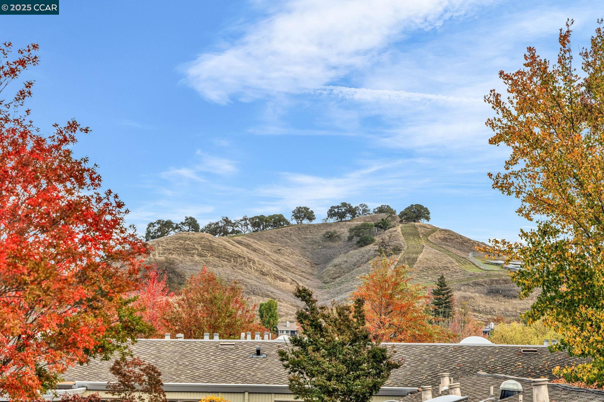 Photo #28: 41117143 Listing: Photo #28