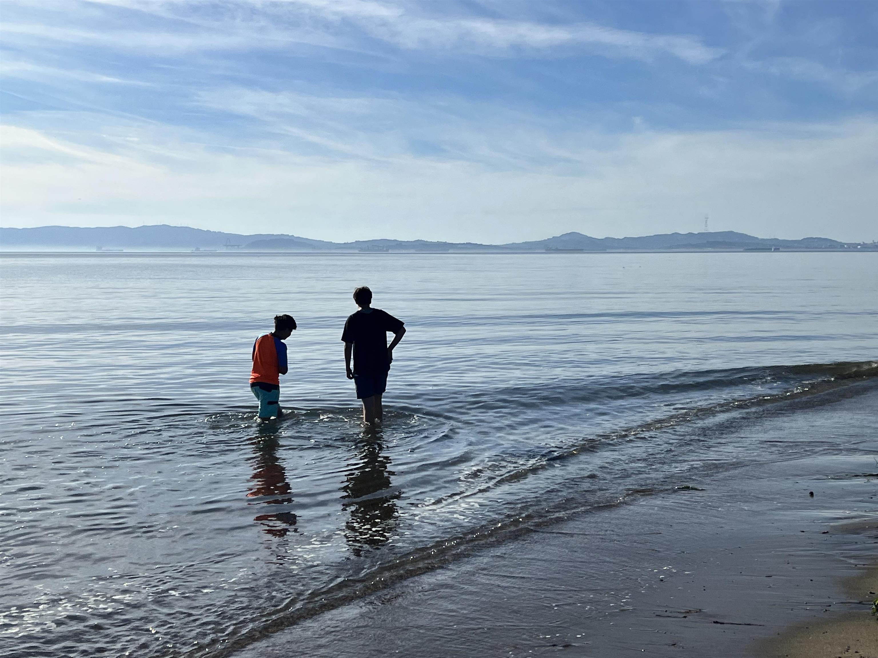 Photo #19: 41117207 Listing: Photo #19