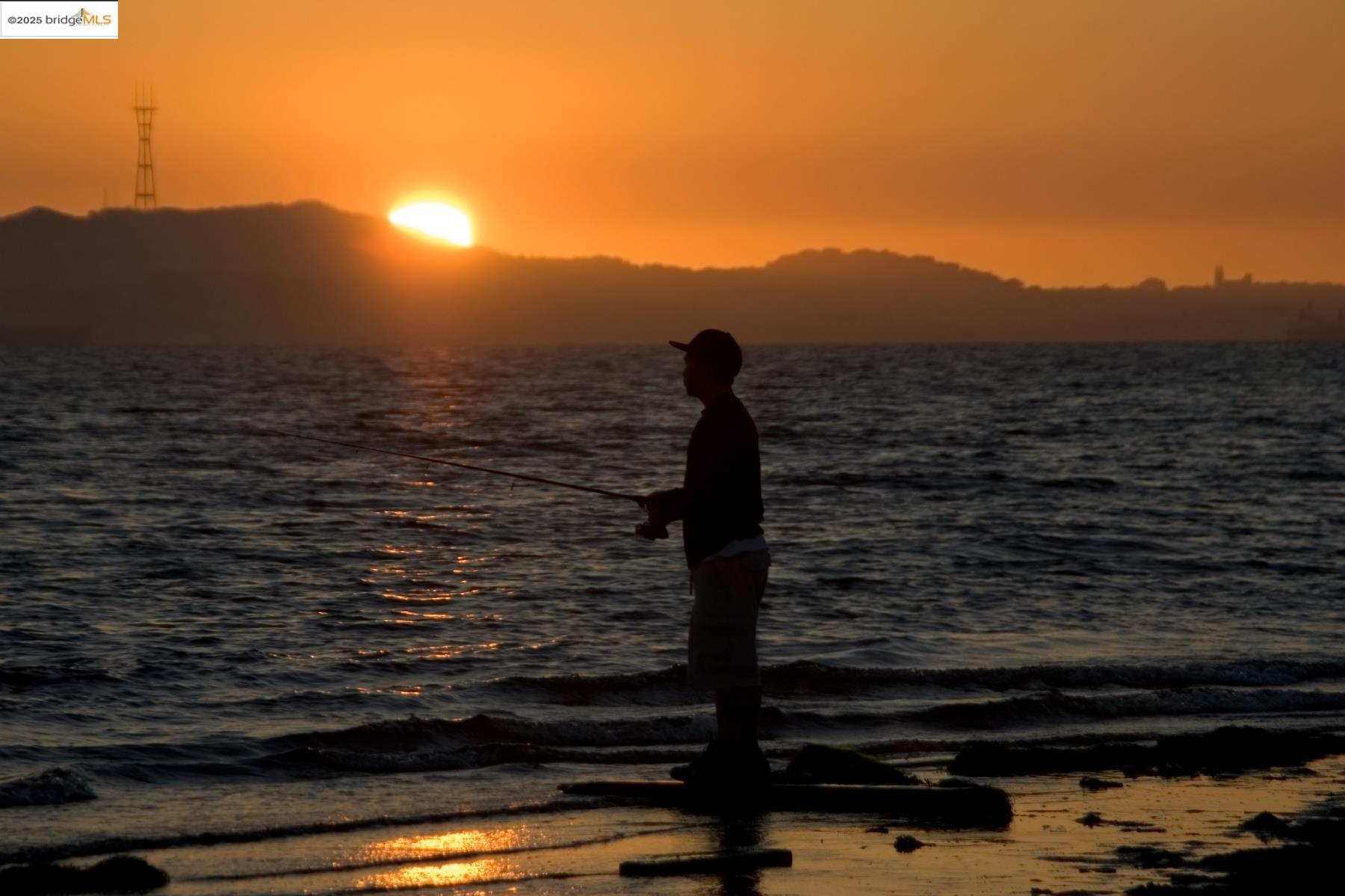 Photo #23: 41117207 Listing: Photo #23