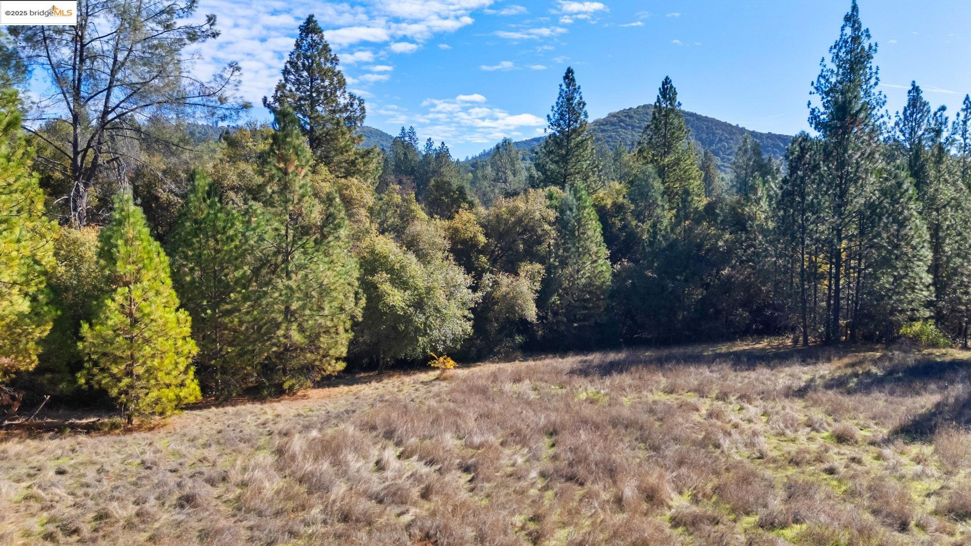 21870 Sawmill Flat Rd, Sonora, CA, 95370
