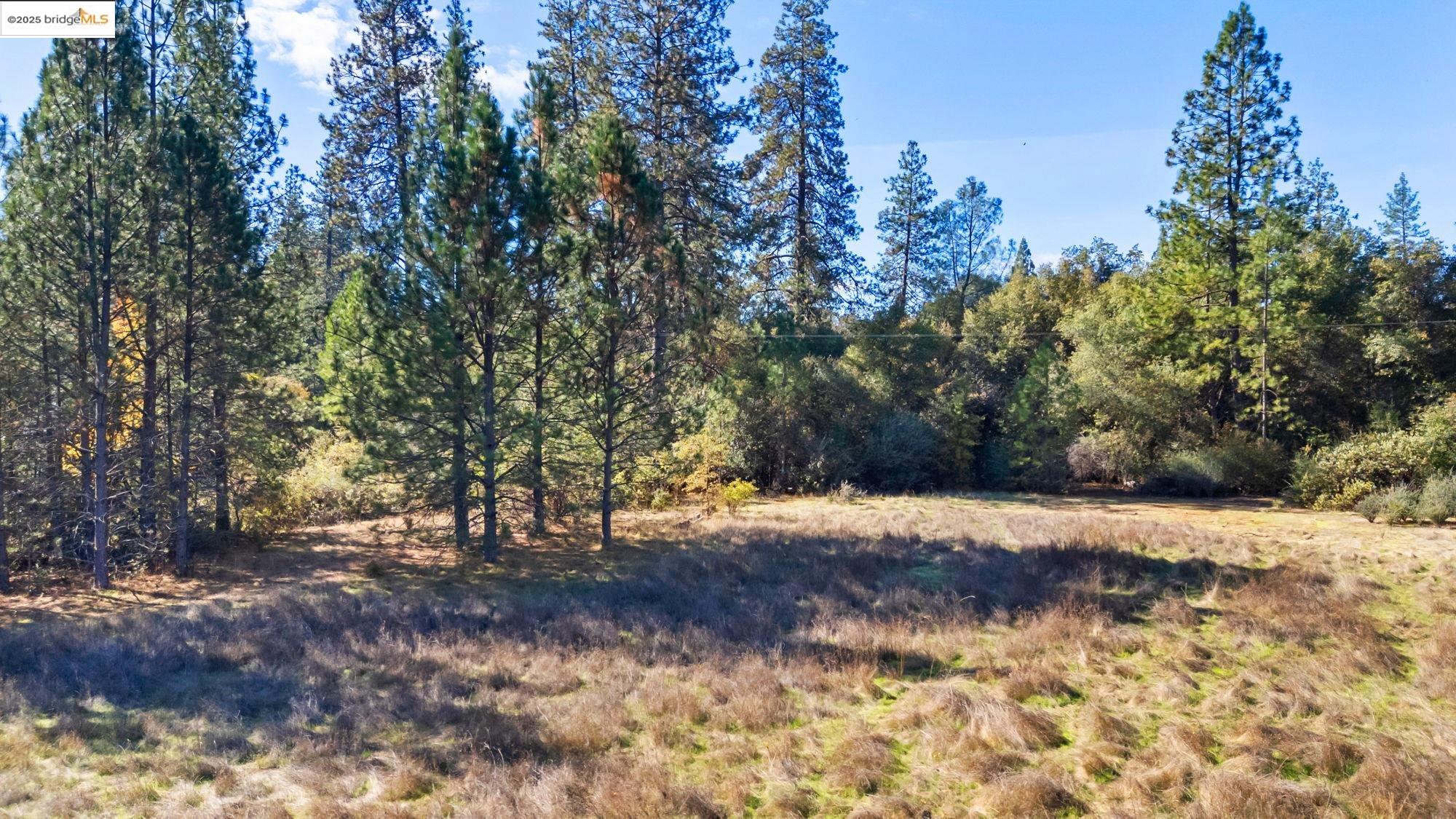 21870 Sawmill Flat Rd, Sonora, CA, 95370