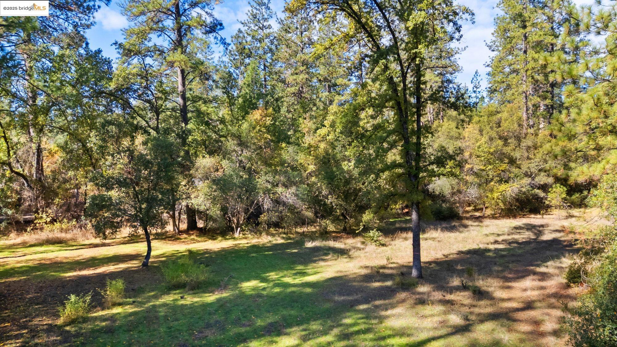 21870 Sawmill Flat Rd, Sonora, CA, 95370
