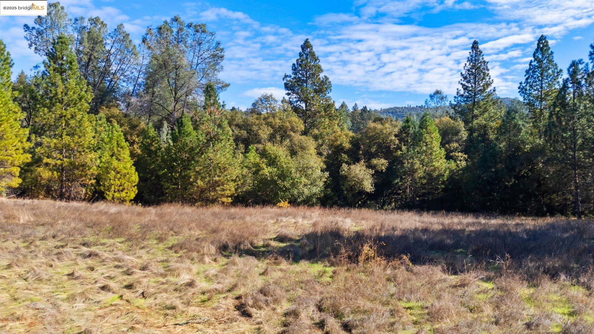 21870 Sawmill Flat Rd, Sonora, CA, 95370