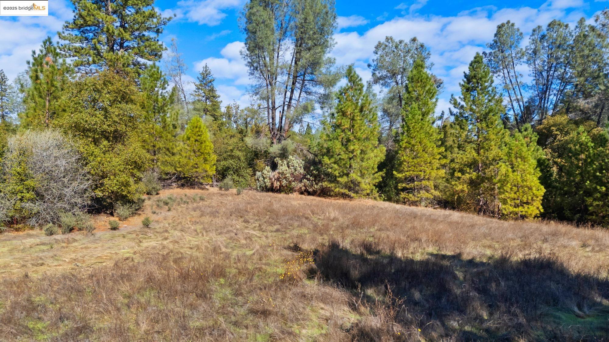 21870 Sawmill Flat Rd, Sonora, CA, 95370