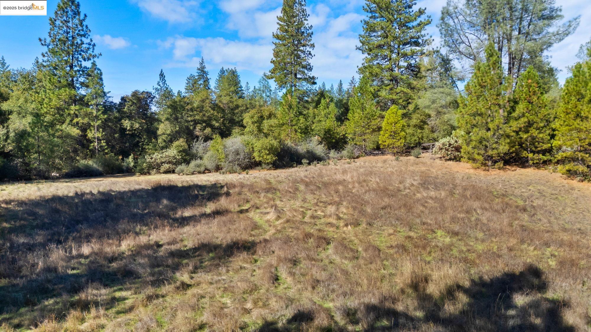 21870 Sawmill Flat Rd, Sonora, CA, 95370