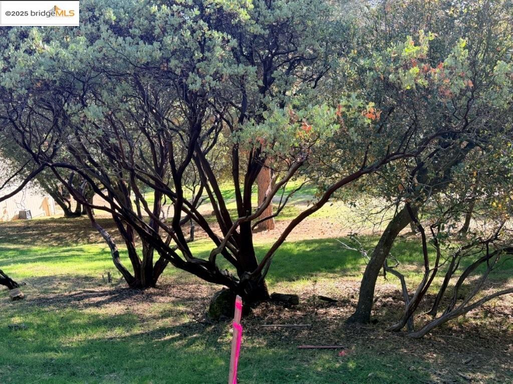 1/242 Pleasantview Dr., Groveland CA 95321 — photo 19