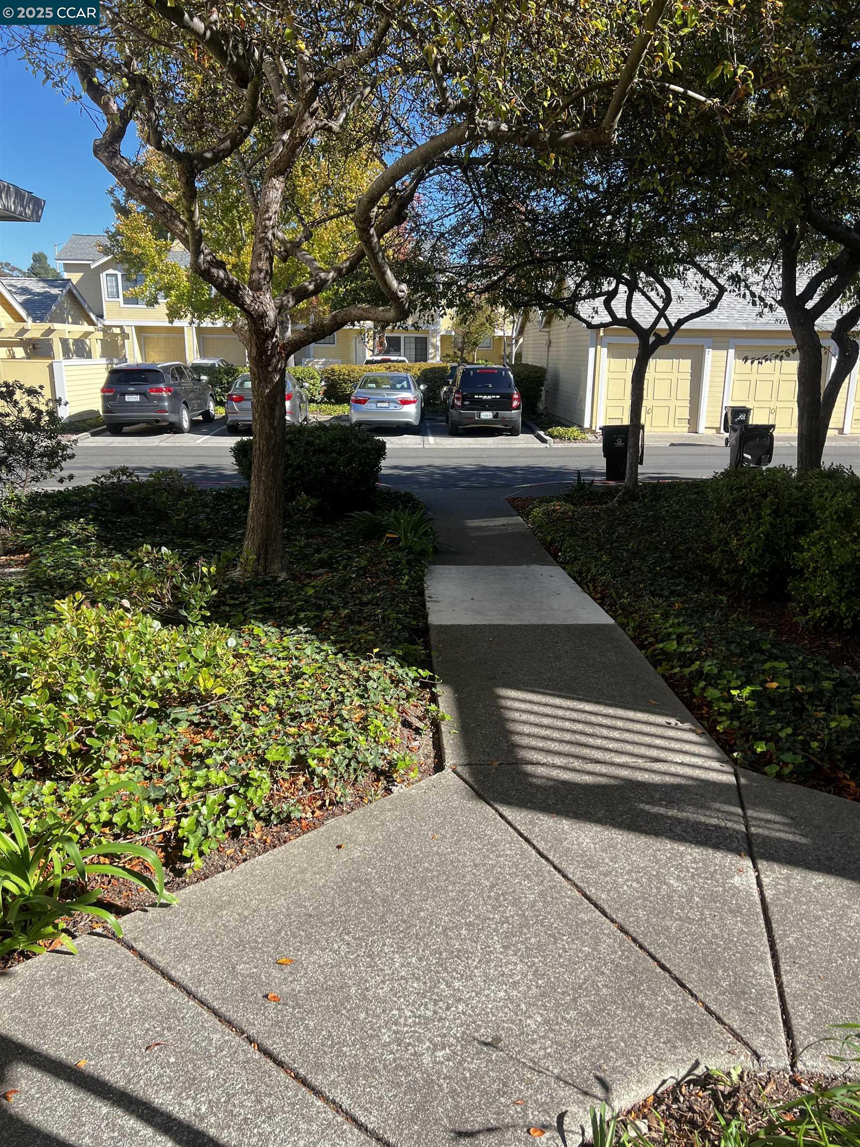 Photo #3: 41117322 Listing: Photo #3