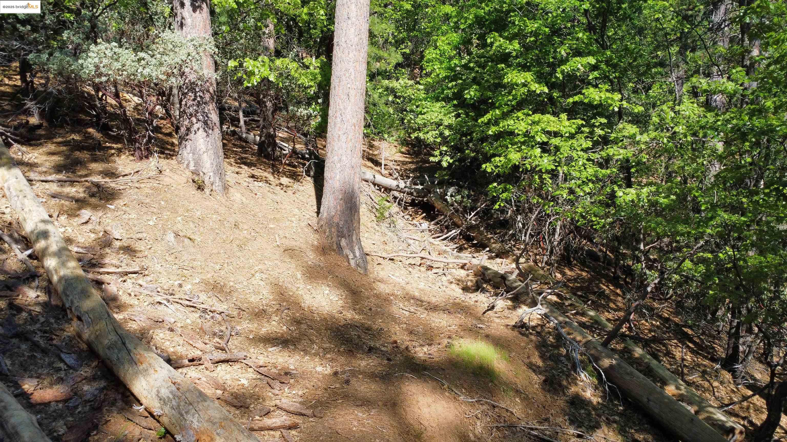 23804 Oxbow Lane, Sonora, CA, 95370