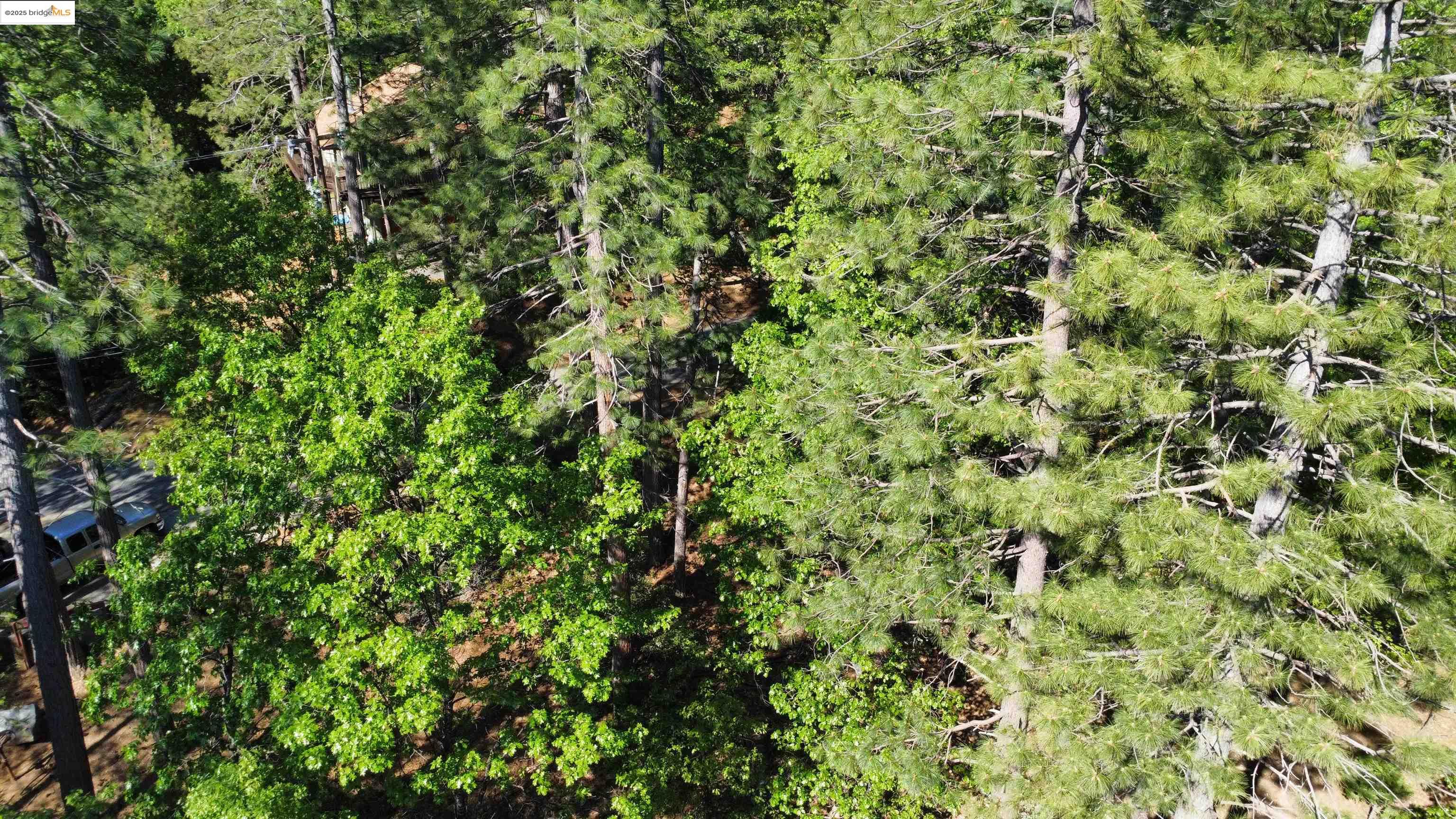 23804 Oxbow Lane, Sonora, CA, 95370