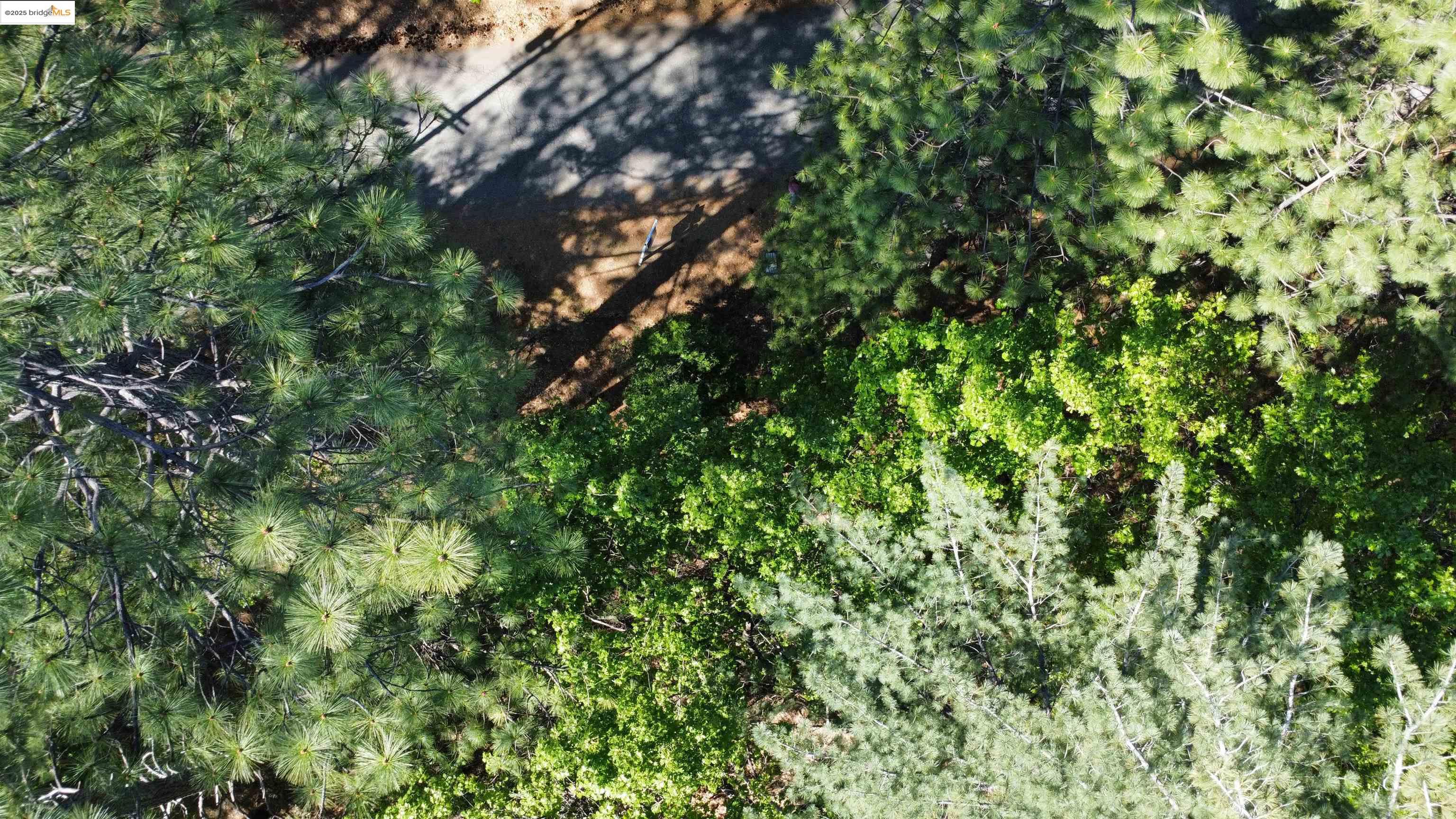 23804 Oxbow Lane, Sonora, CA, 95370