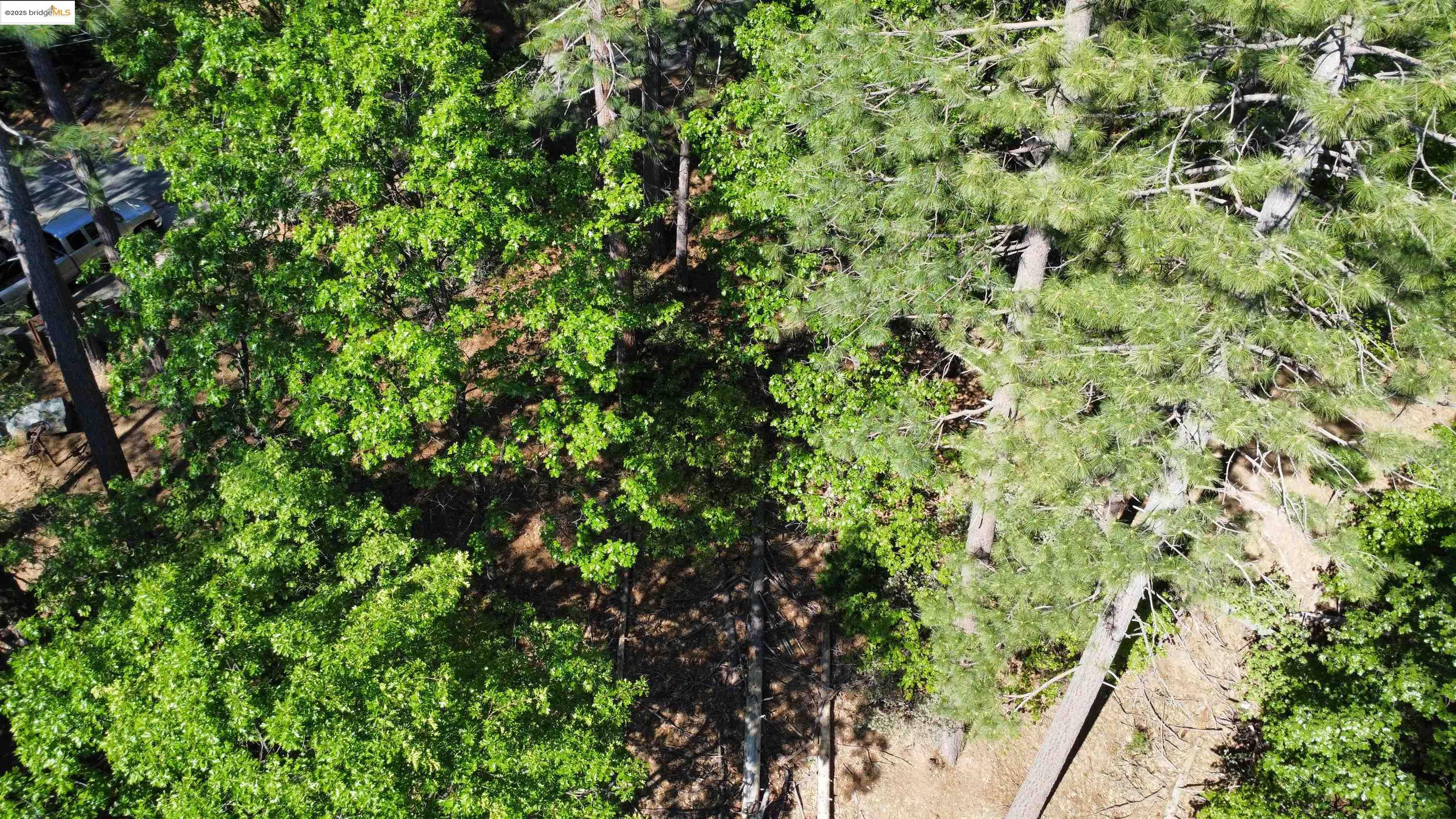 23804 Oxbow Lane, Sonora, CA, 95370