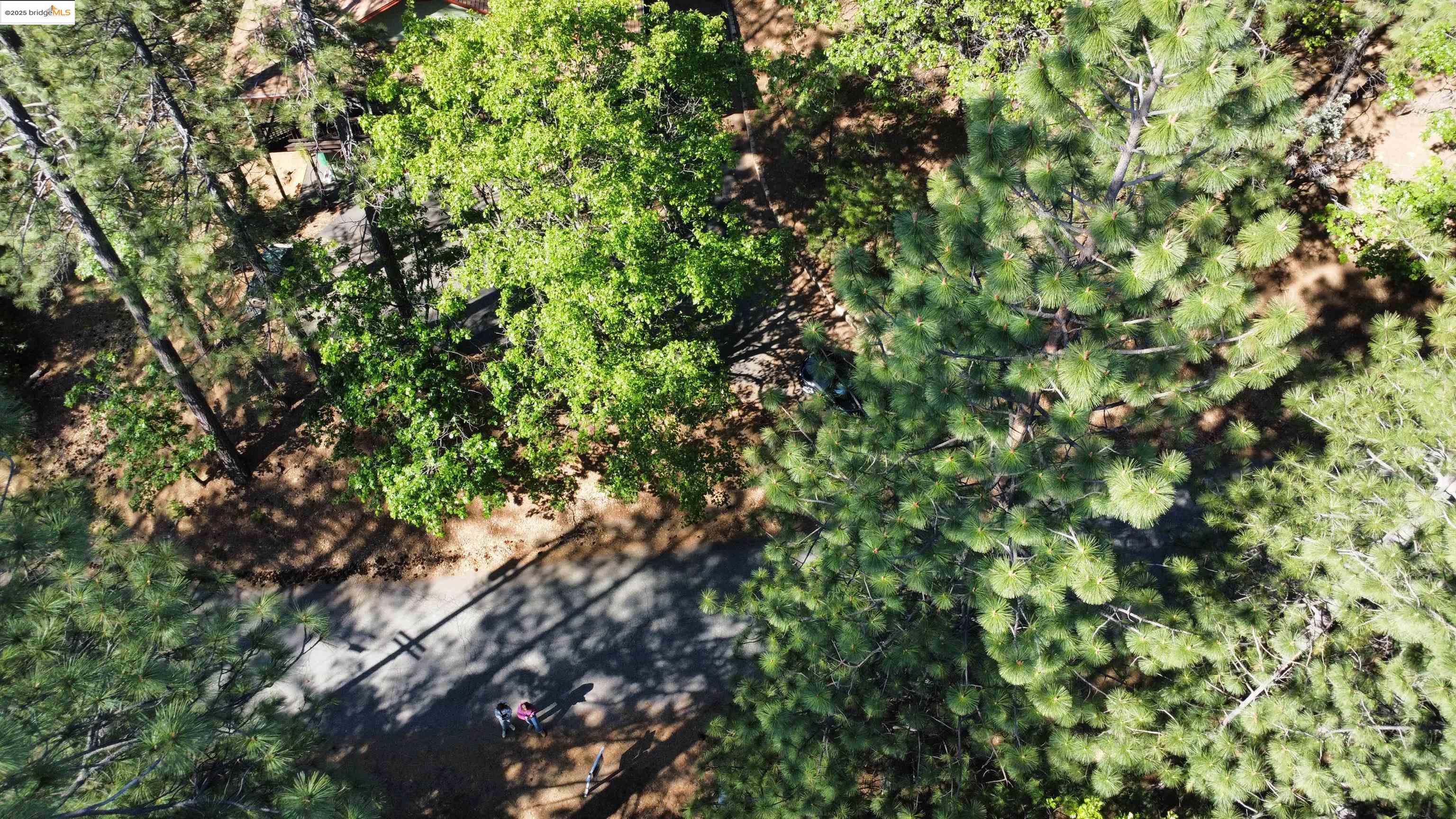 23804 Oxbow Lane, Sonora, CA, 95370