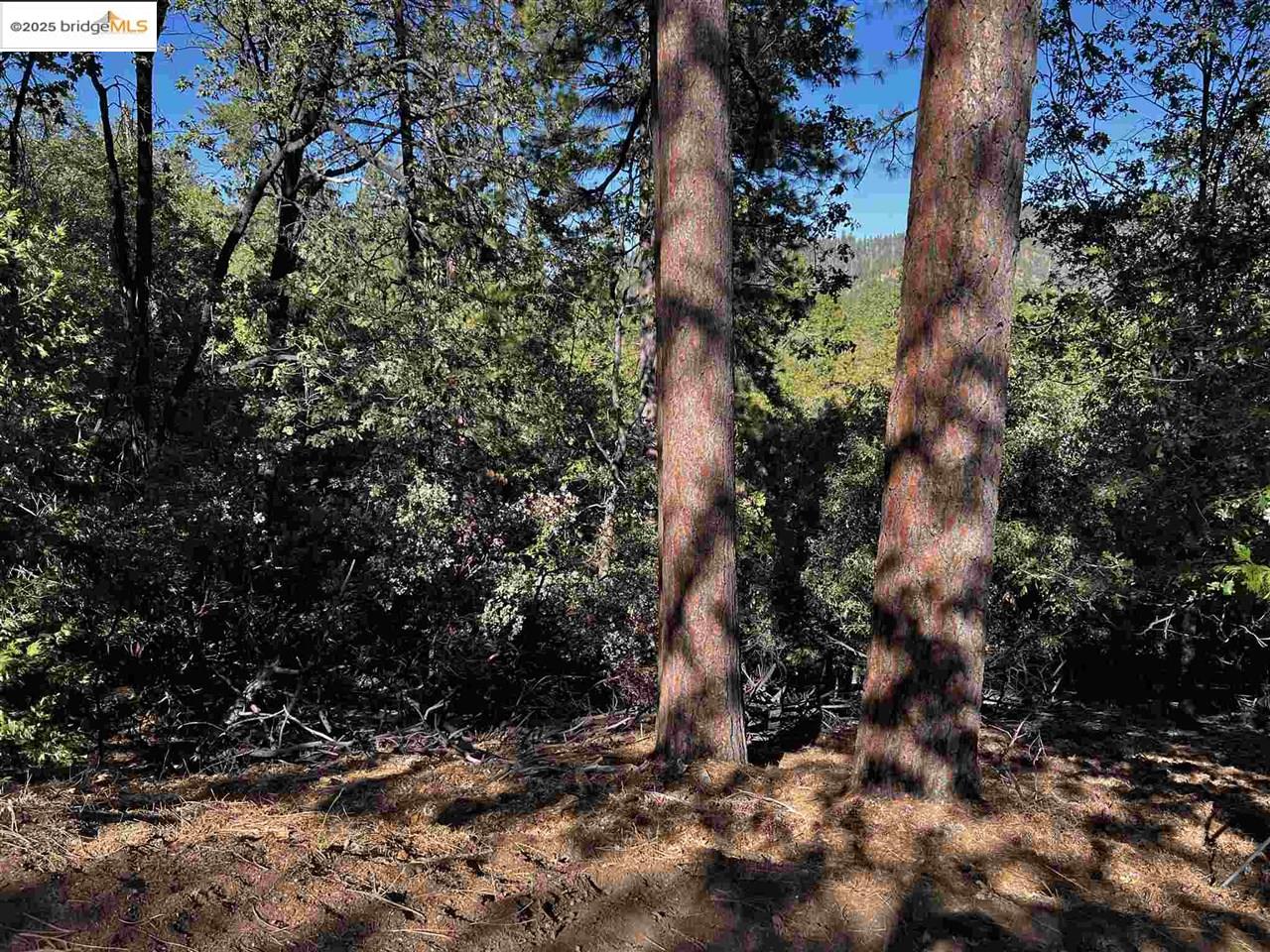 23804 Oxbow Lane, Sonora, CA, 95370