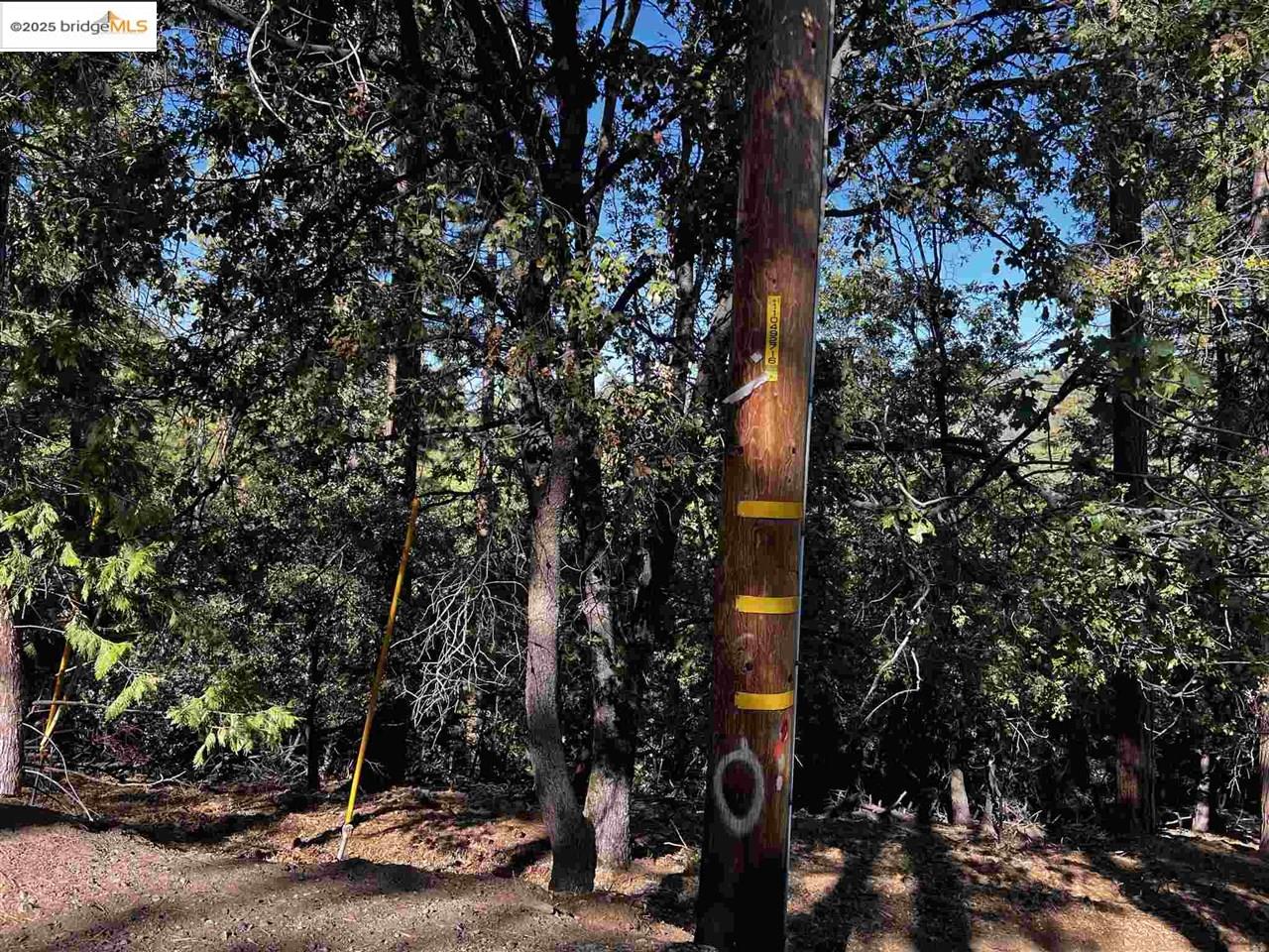 23804 Oxbow Lane, Sonora, CA, 95370