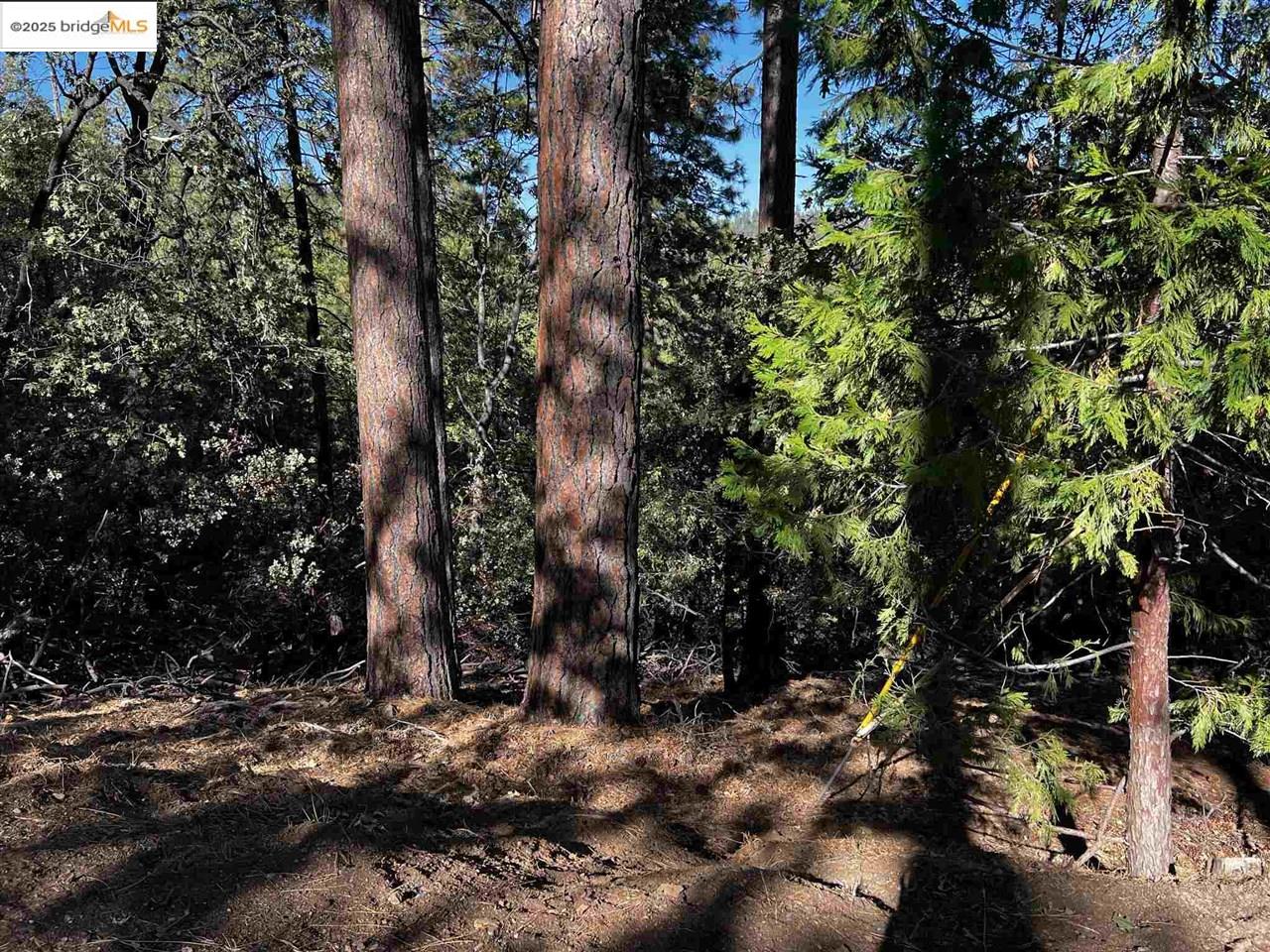 23804 Oxbow Lane, Sonora, CA, 95370