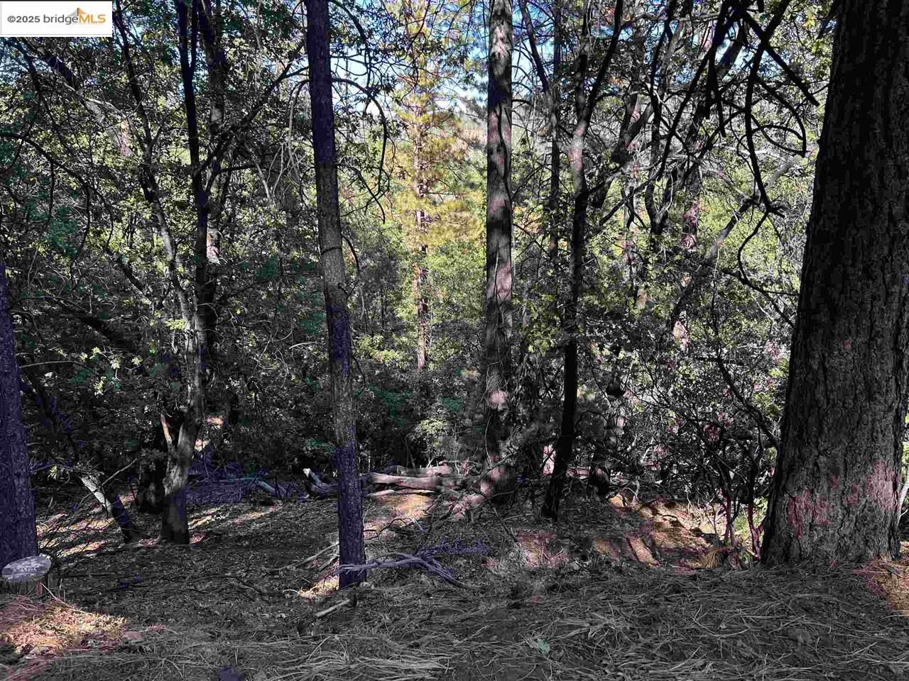 23804 Oxbow Lane, Sonora, CA, 95370