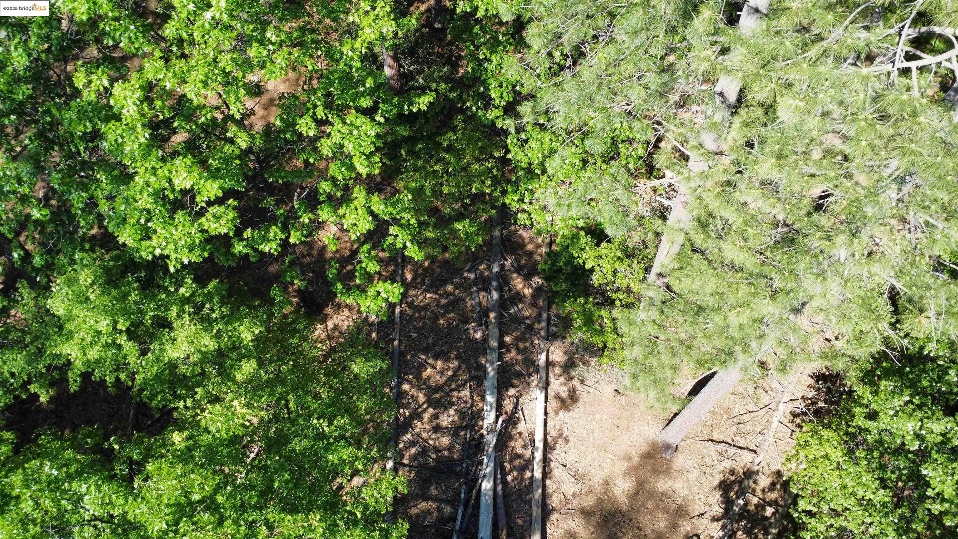 23804 Oxbow Lane, Sonora, CA, 95370