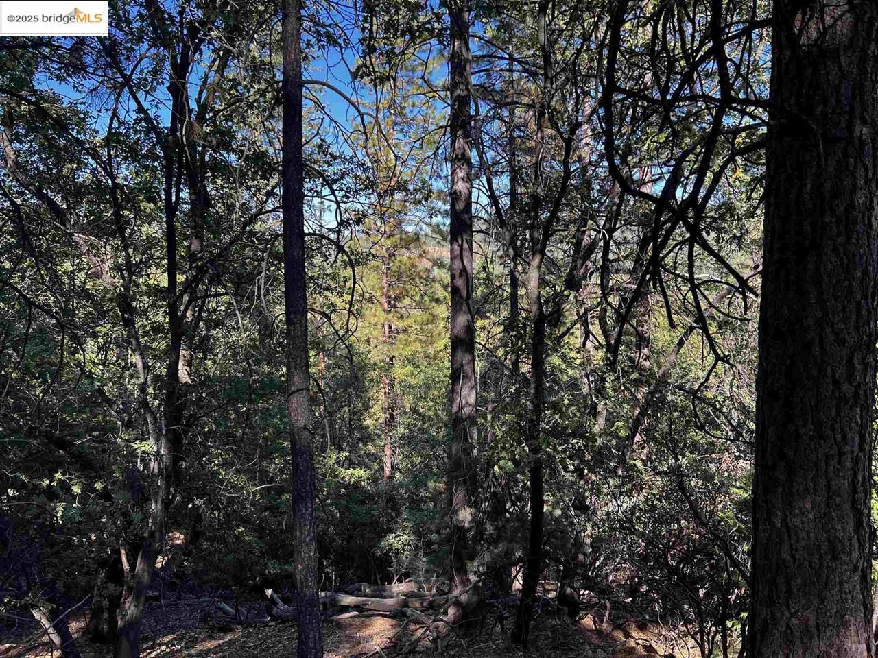 23804 Oxbow Lane, Sonora, CA, 95370