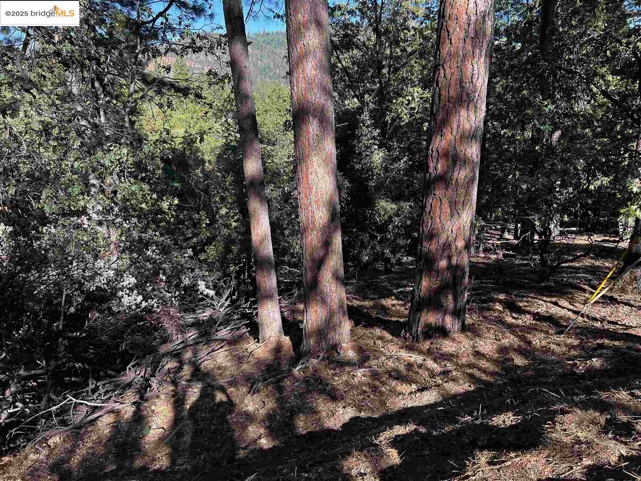 23804 Oxbow Lane, Sonora, CA, 95370