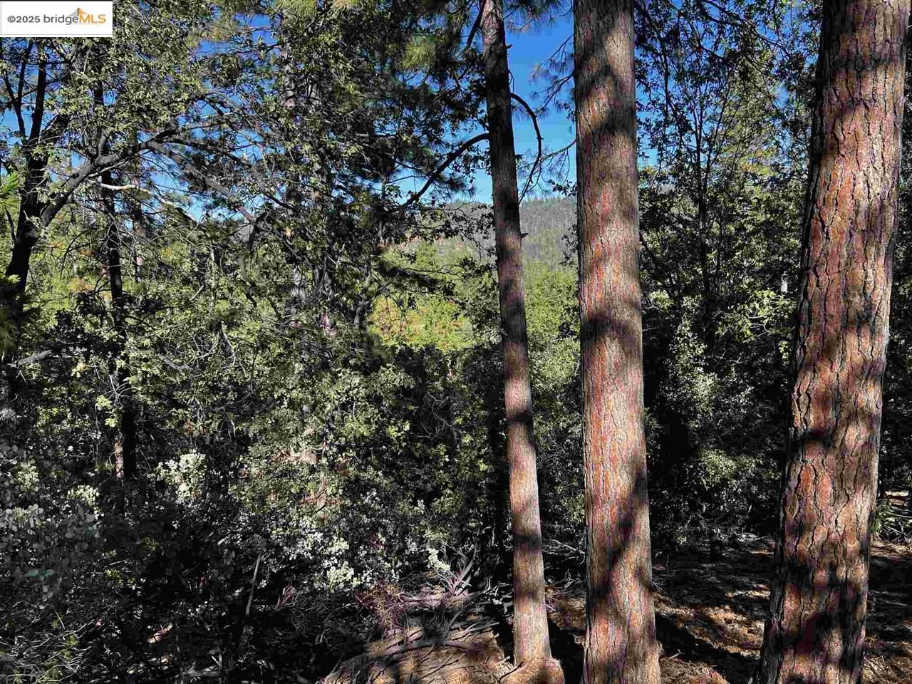 23804 Oxbow Lane, Sonora, CA, 95370