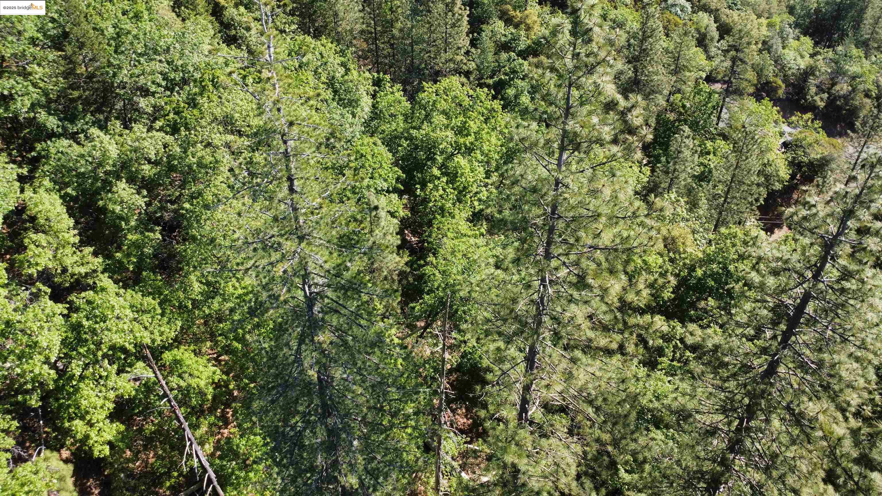 23804 Oxbow Lane, Sonora, CA, 95370