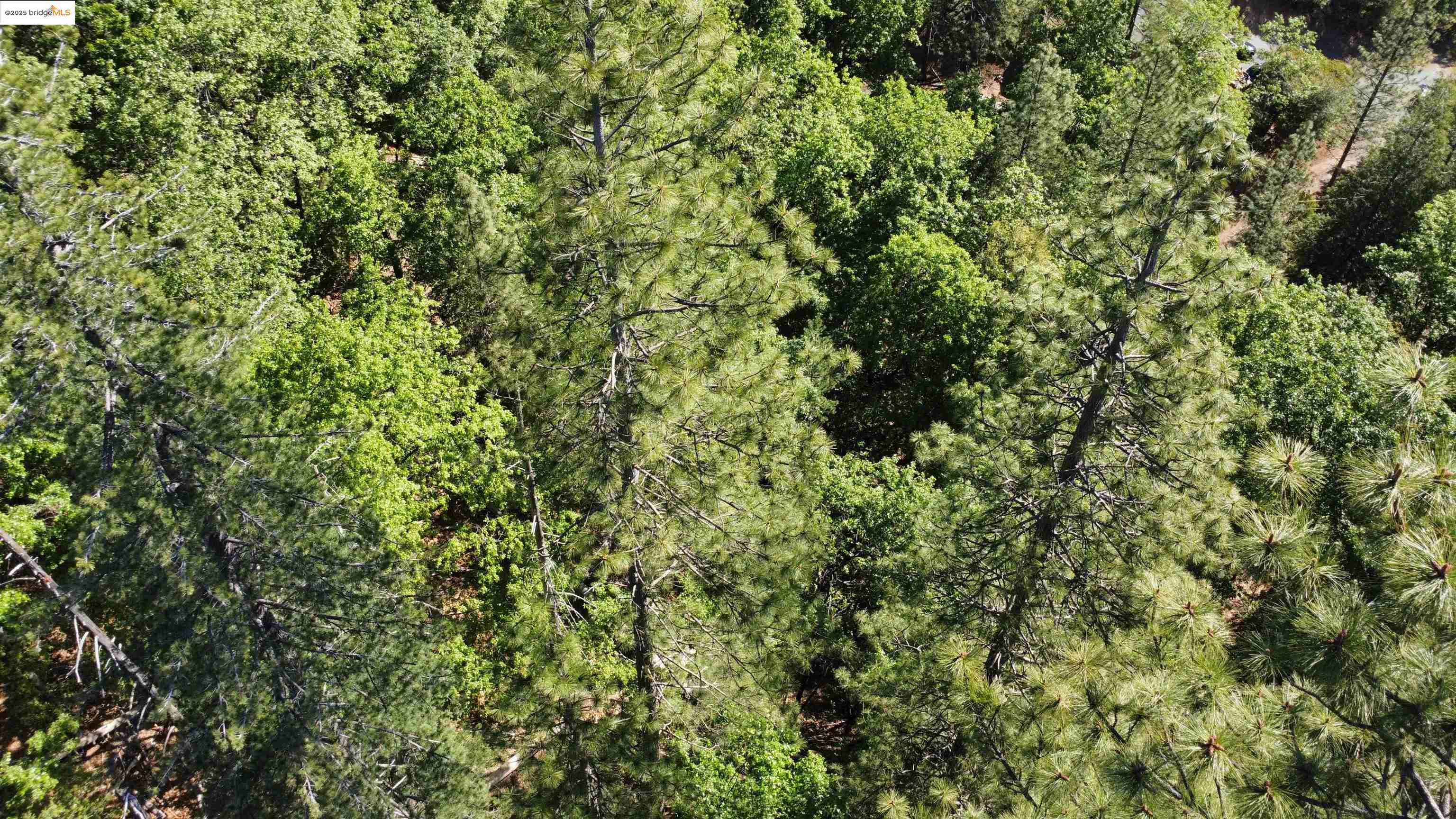 23804 Oxbow Lane, Sonora, CA, 95370