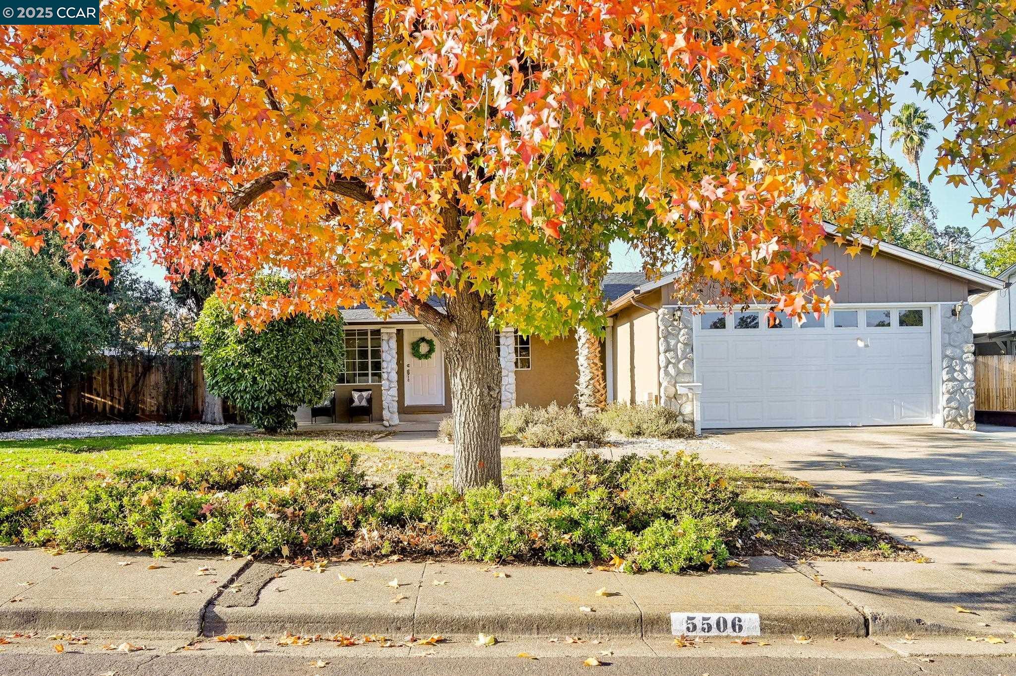 Front Image Thumbnail for CC41117441