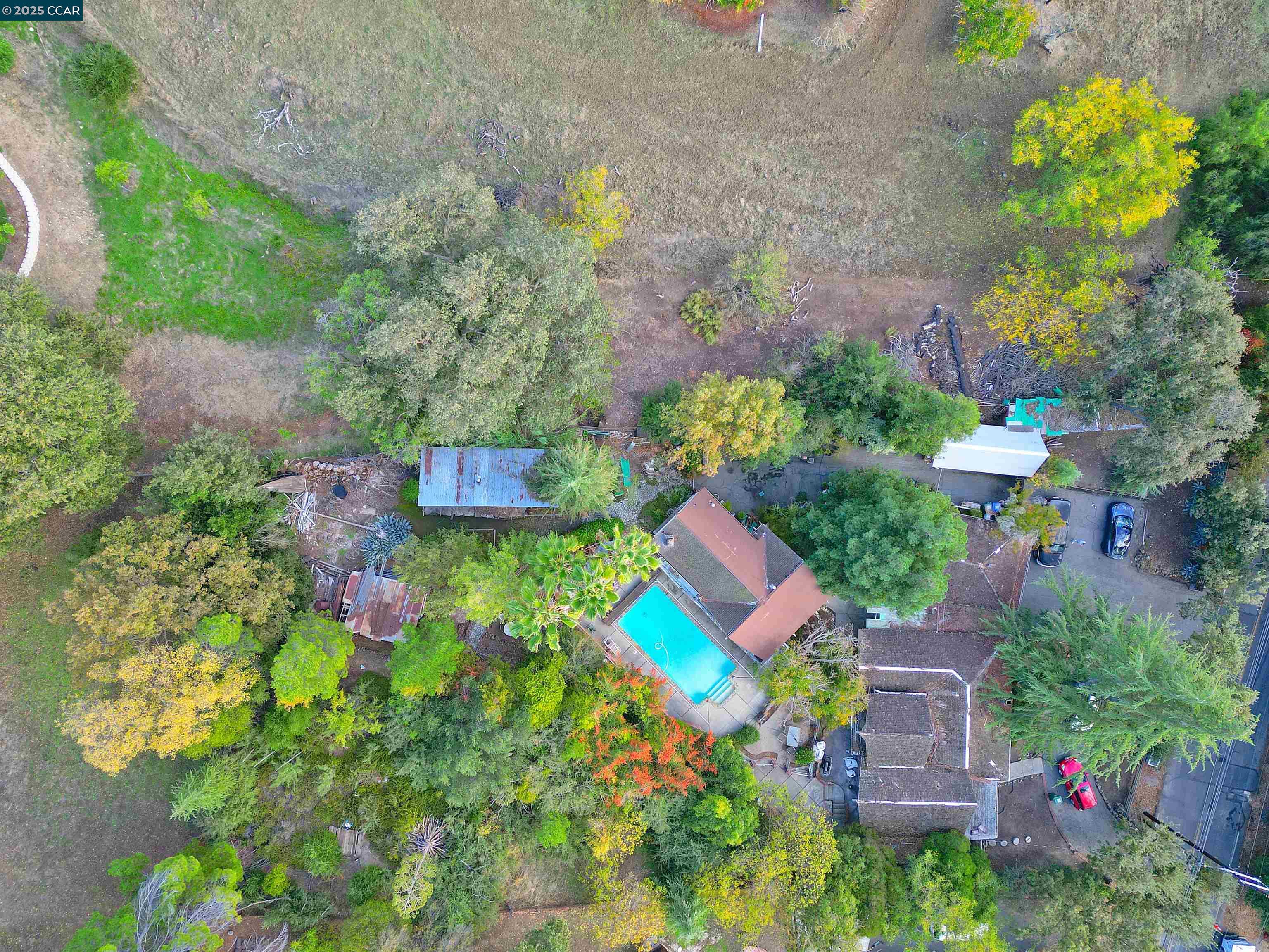 Front Image Thumbnail for CC41117513