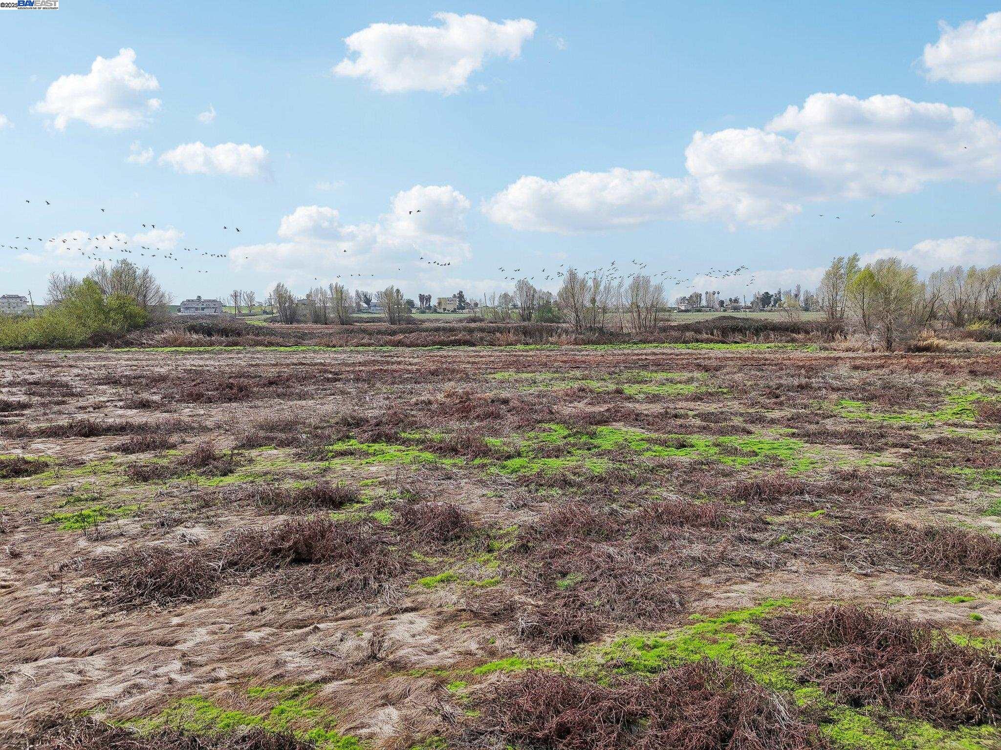 00 Brannan Isle Rd, Isleton, CA, 95641