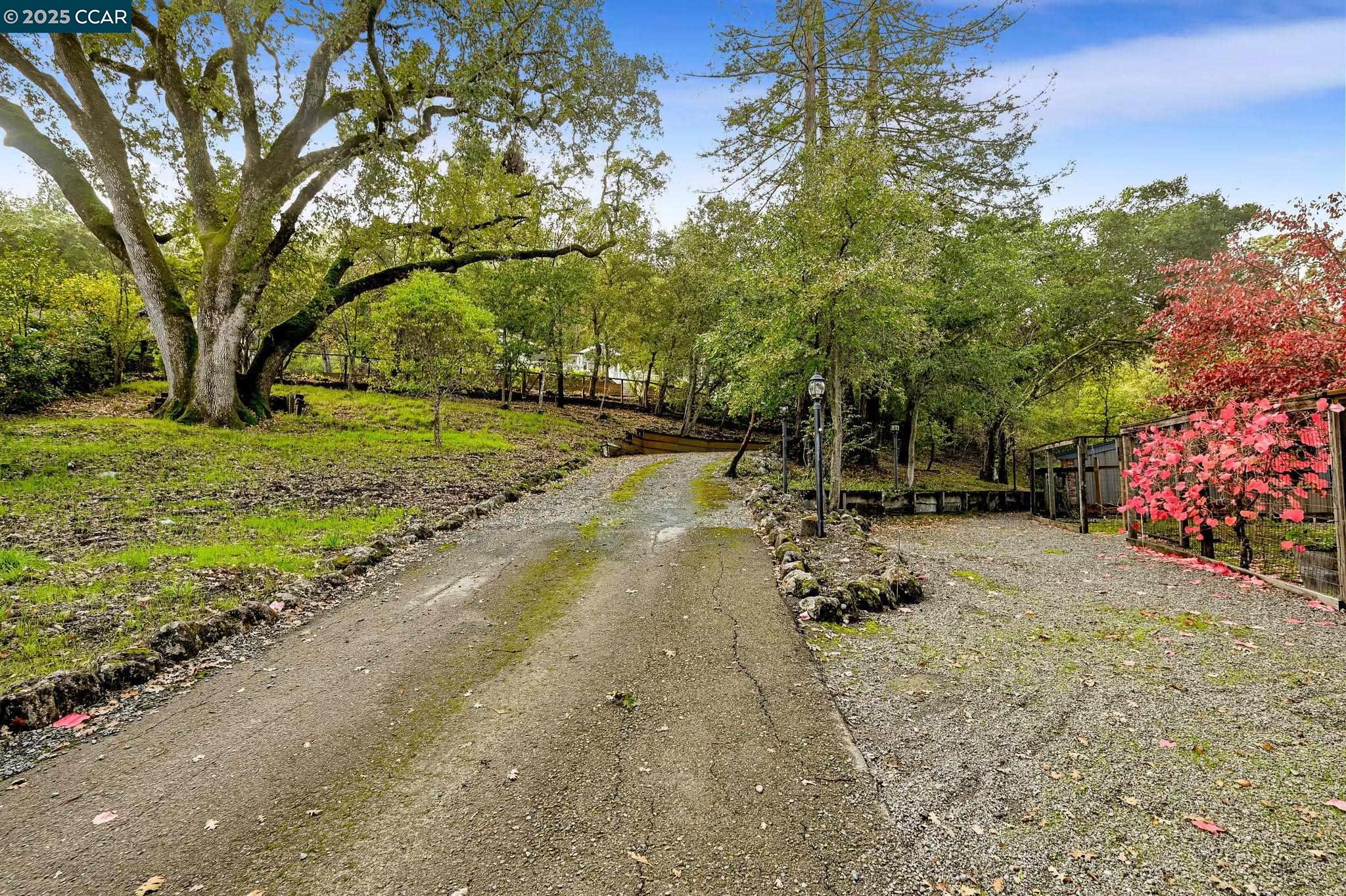 Detail Gallery Image 2 of 42 For 230 Moraga Way, Orinda,  CA 94563-3837 - 3 Beds | 3 Baths