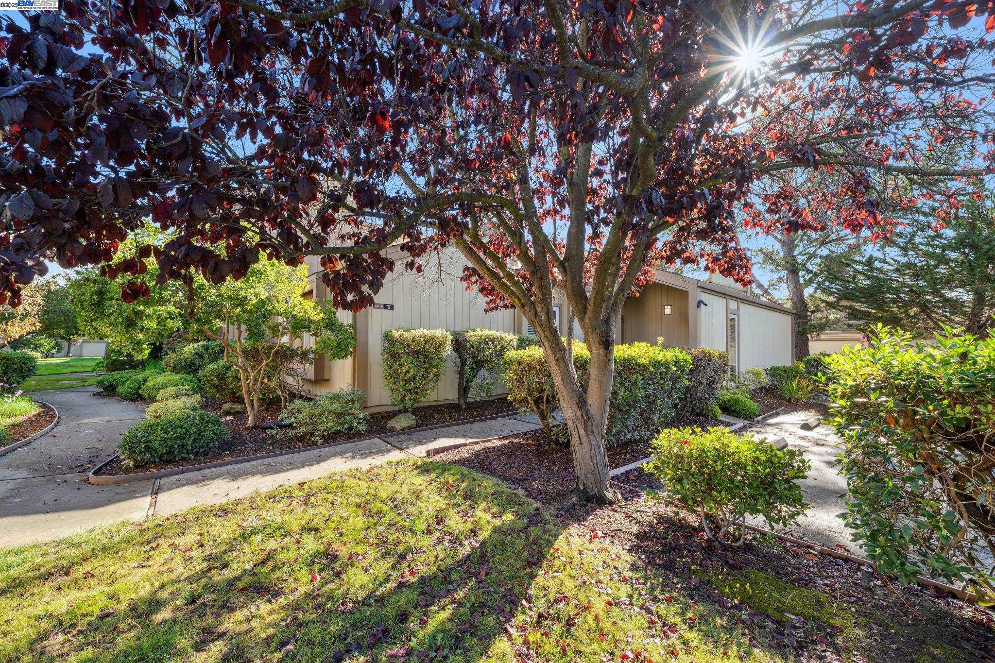 Front Image Thumbnail for BE41117697