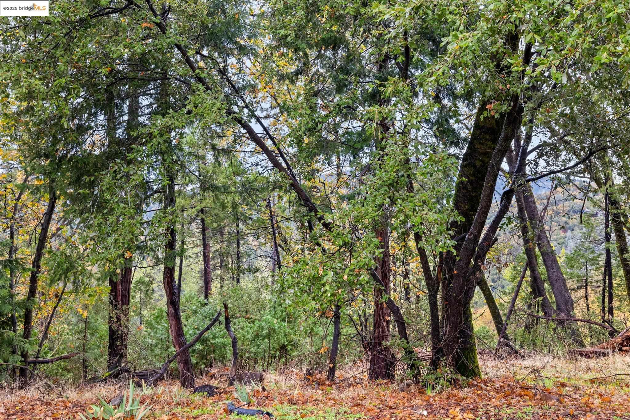 17943 Plateau, Sonora CA 95370 — photo 11