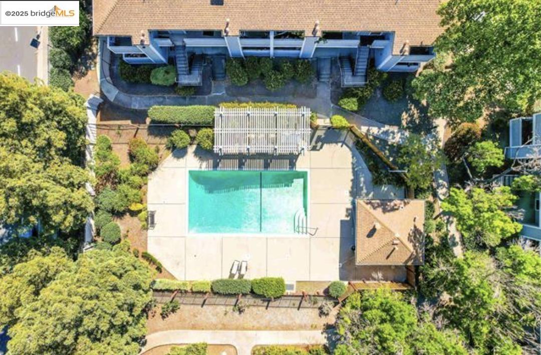 Photo #6: 41117836 Listing: Photo #6