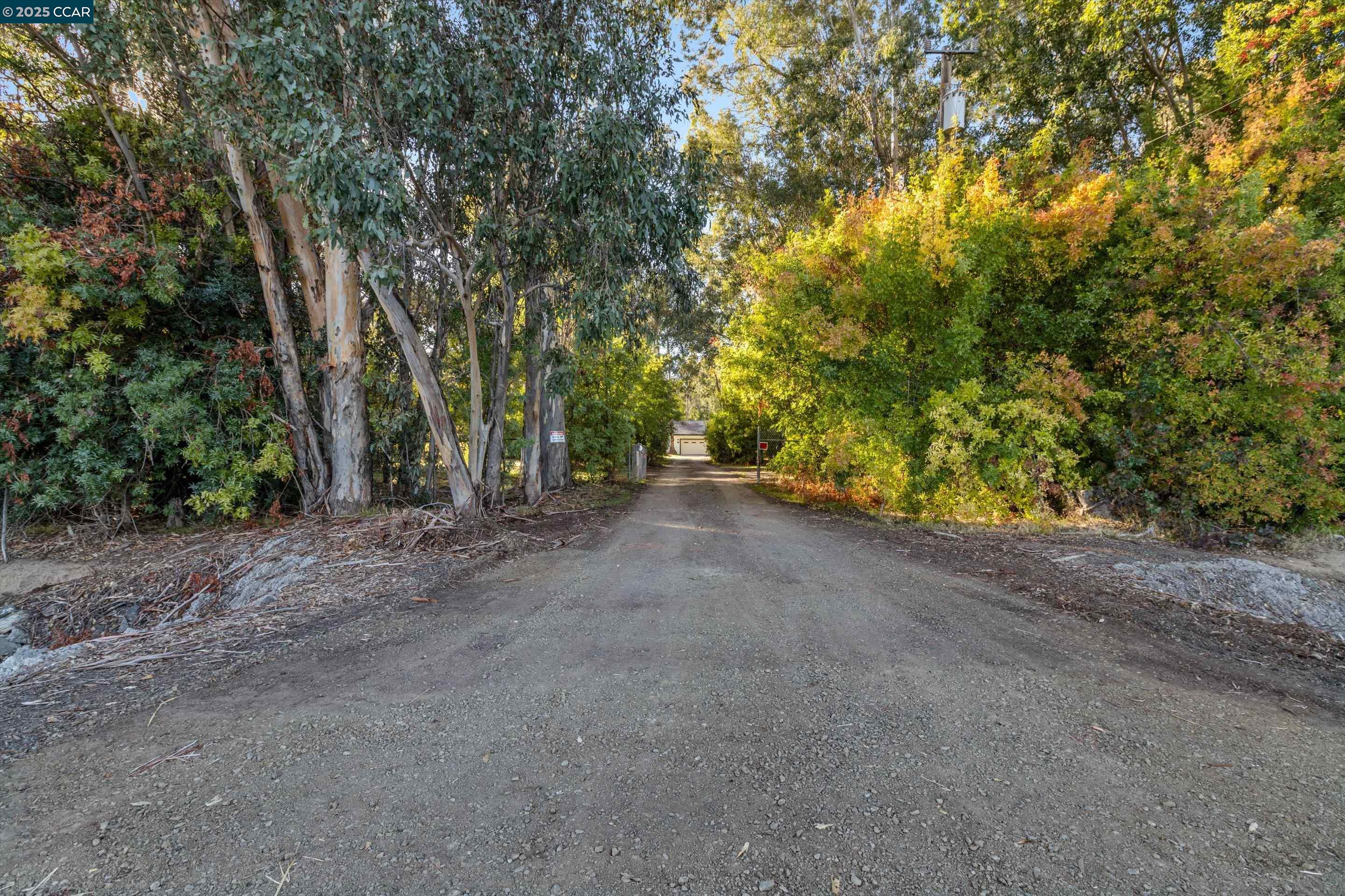 Front Image Thumbnail for CC41117912