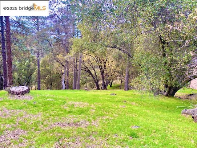 19703 Cottonwood St, Groveland, CA, 95321