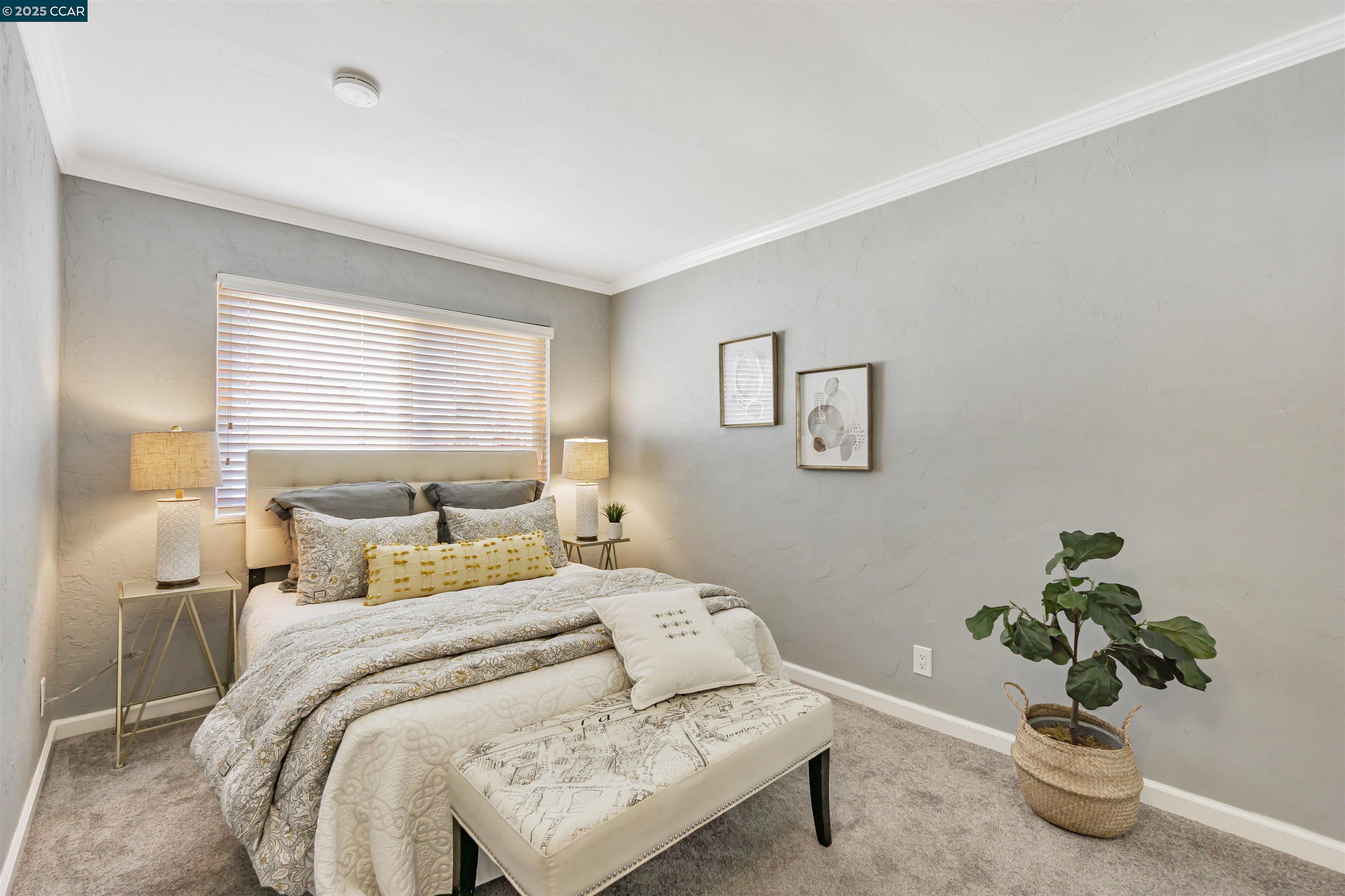 Photo #19: 41118080 Listing: Photo #19