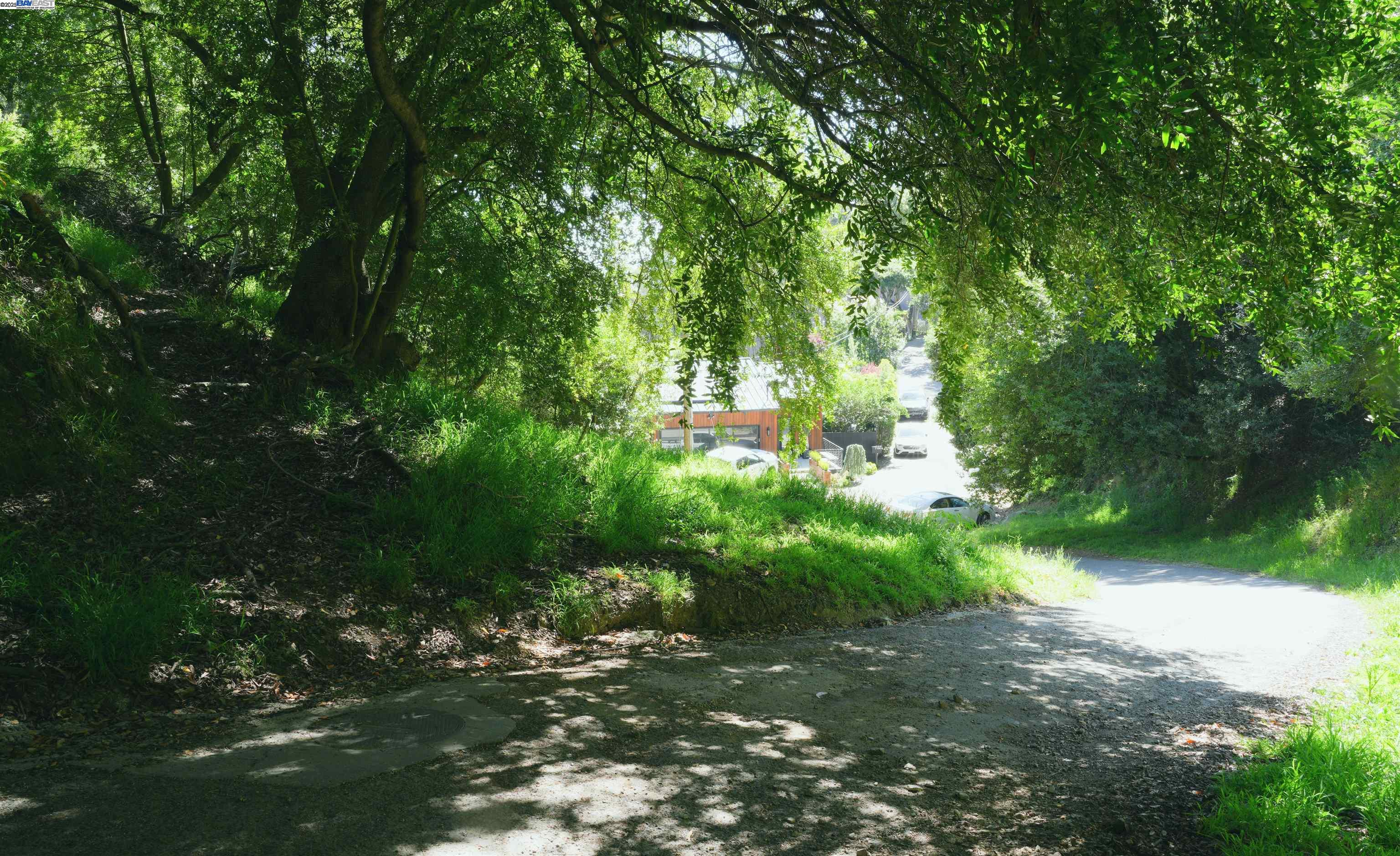 00 Willowbank Ct, Oakland, CA, 94611