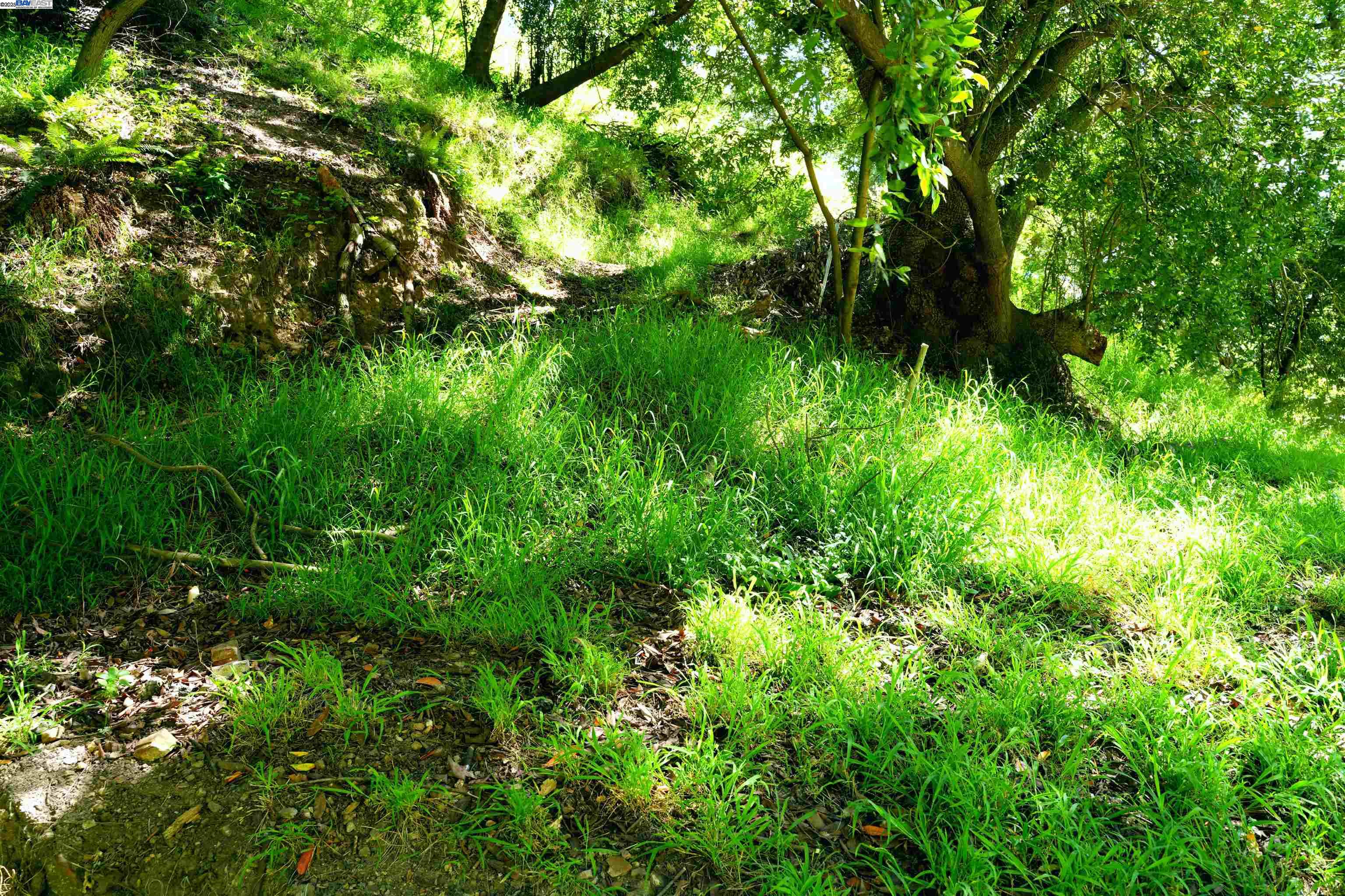 00 Willowbank Ct, Oakland, CA, 94611