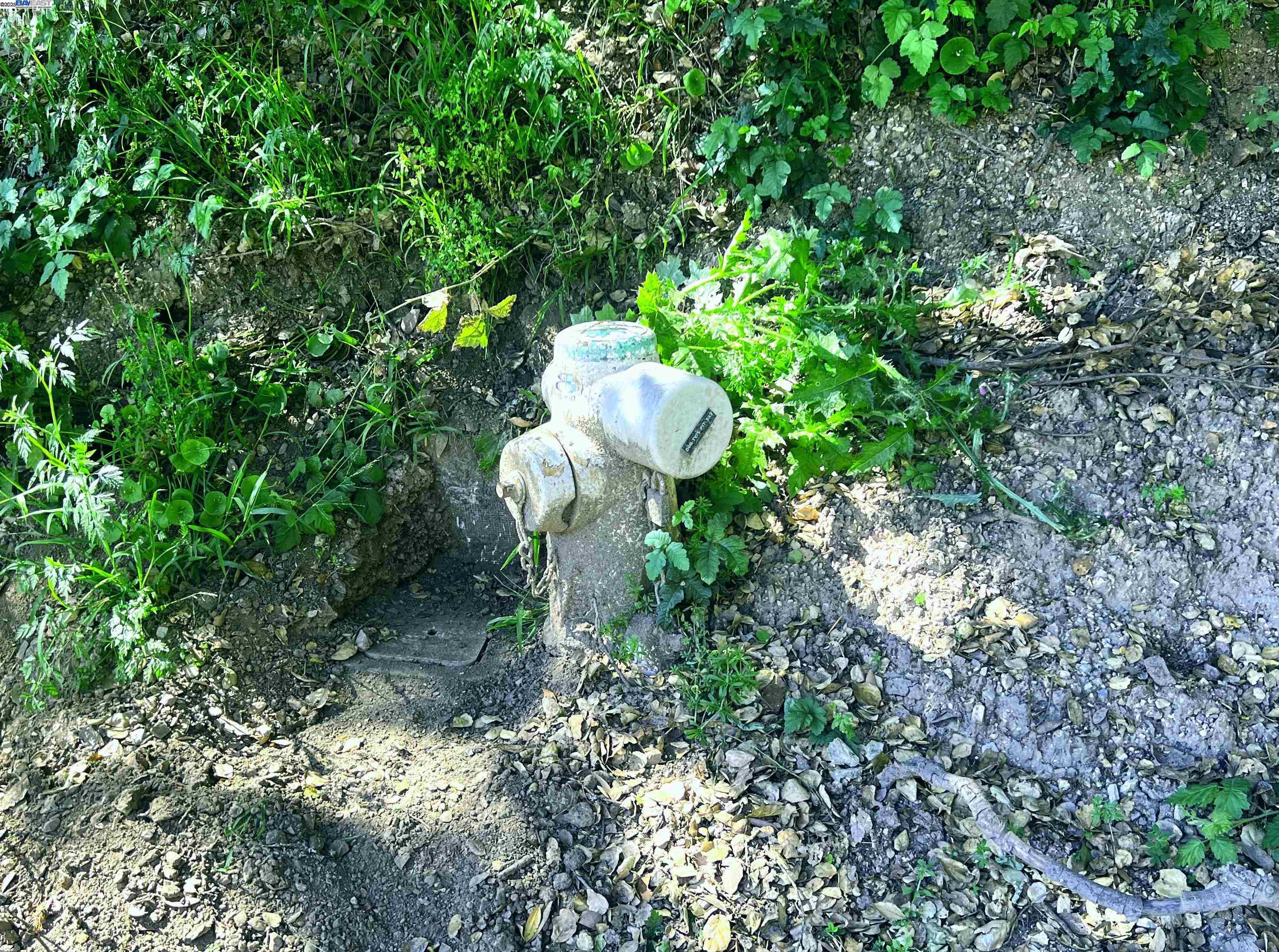 00 Willowbank Ct, Oakland, CA, 94611