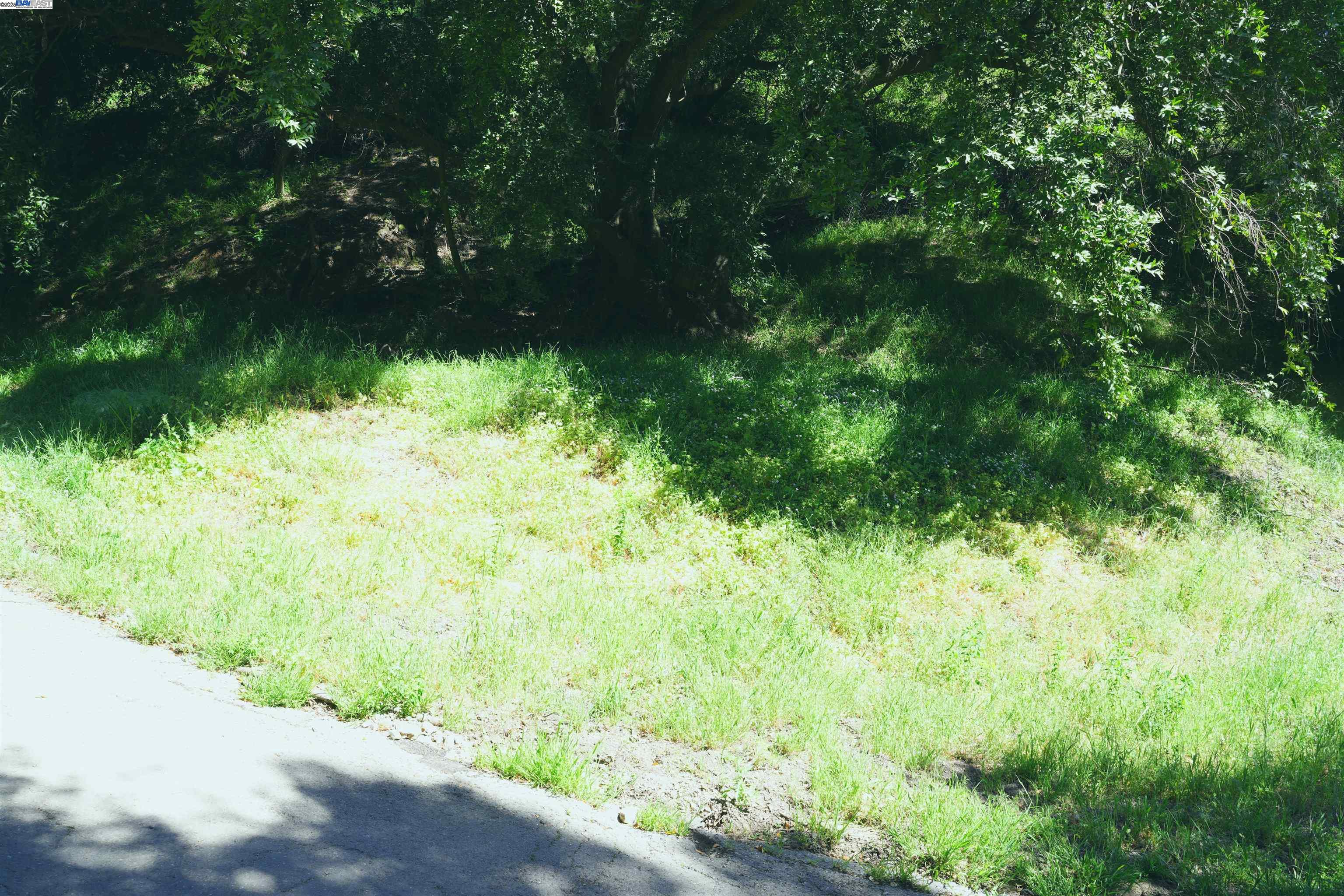 00 Willowbank Ct, Oakland, CA, 94611