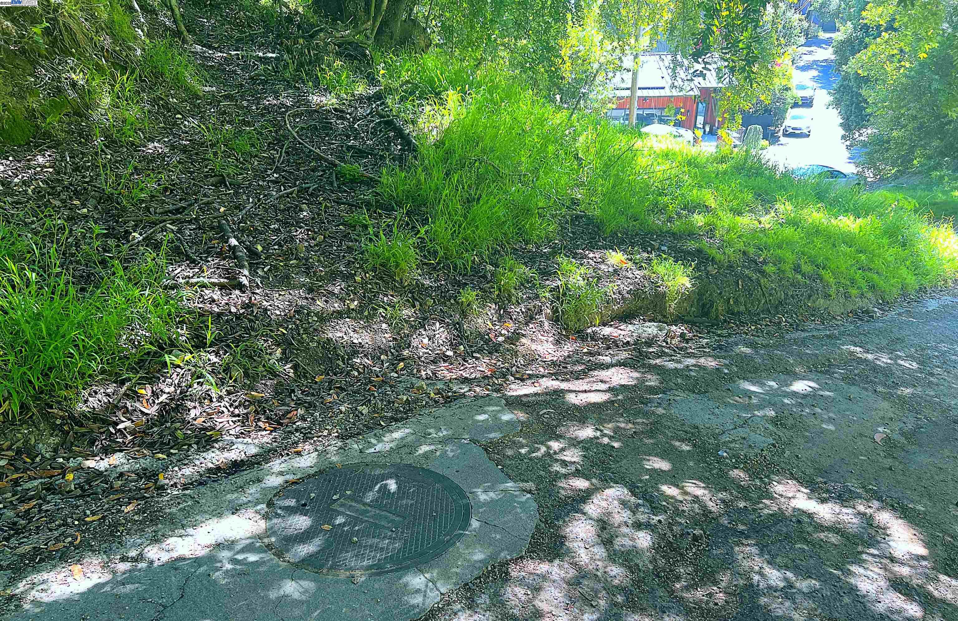 00 Willowbank Ct, Oakland, CA, 94611