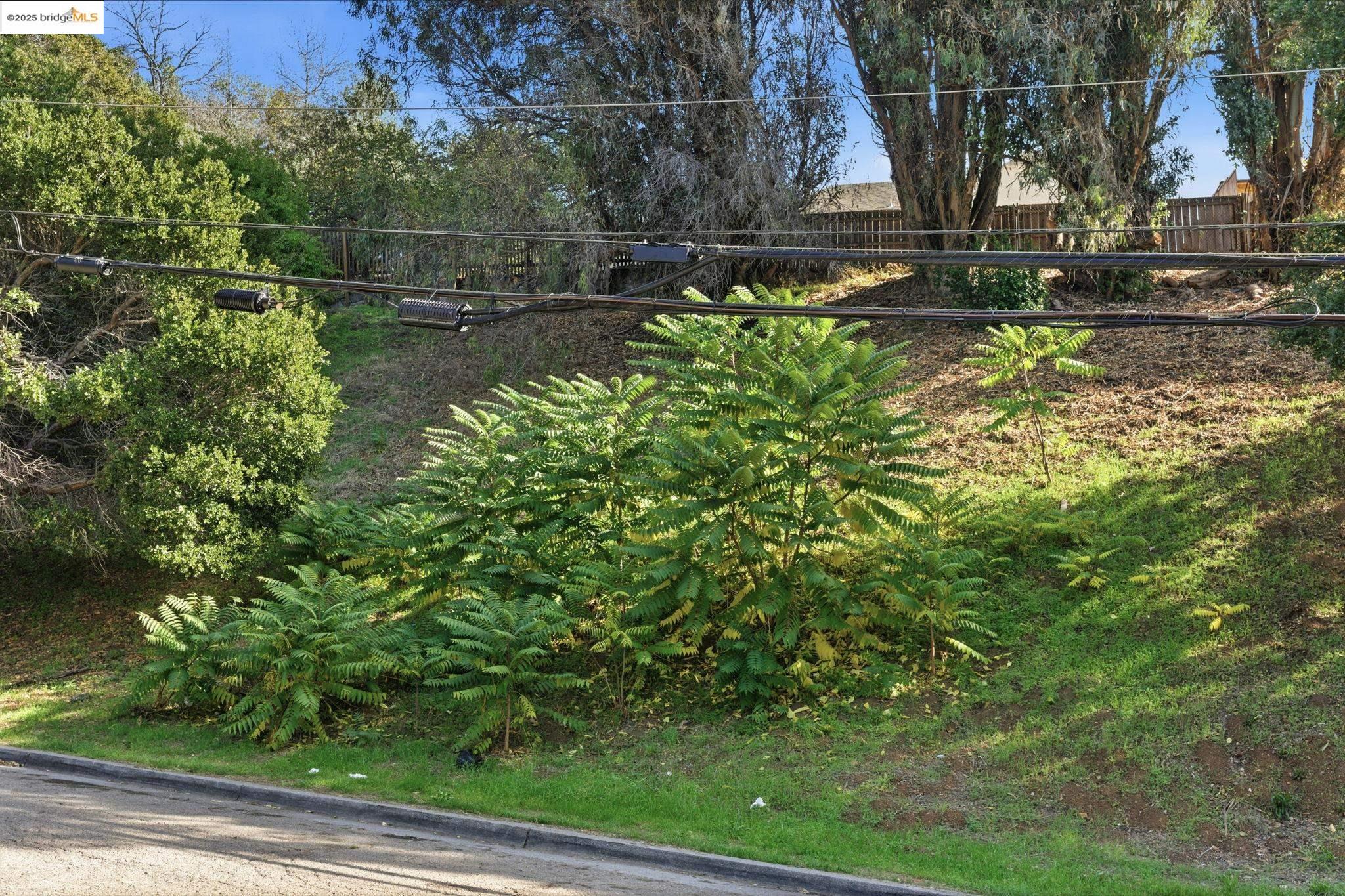 9670 Mountain Blvd, Oakland CA 94605 — photo 3