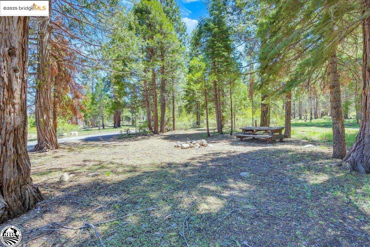 1 Highway 108, Strawberry CA 95314 — photo 47
