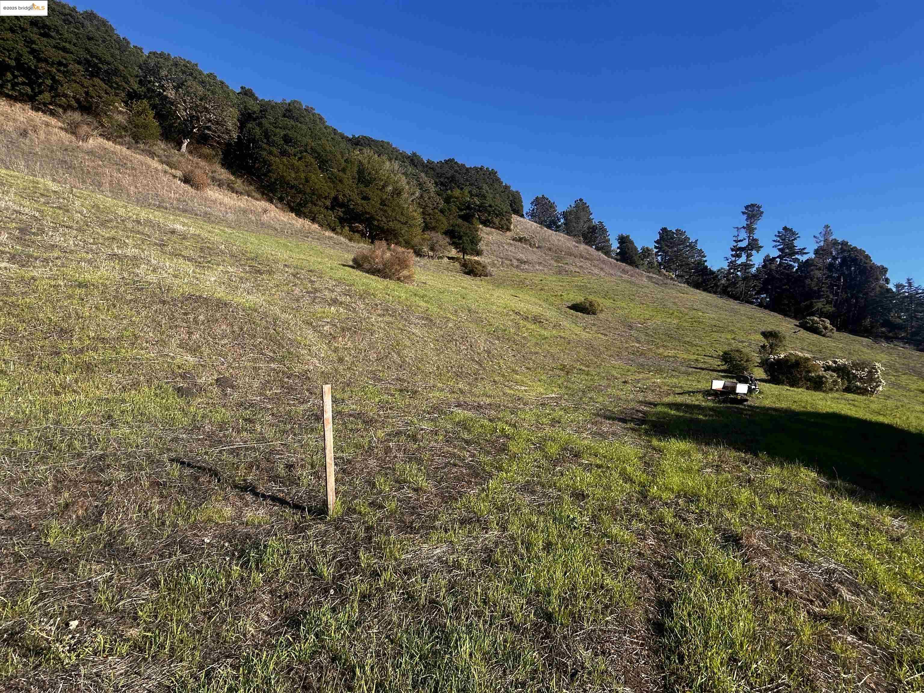 7 Abbie Ln, El Sobrante CA 94803 — photo 9