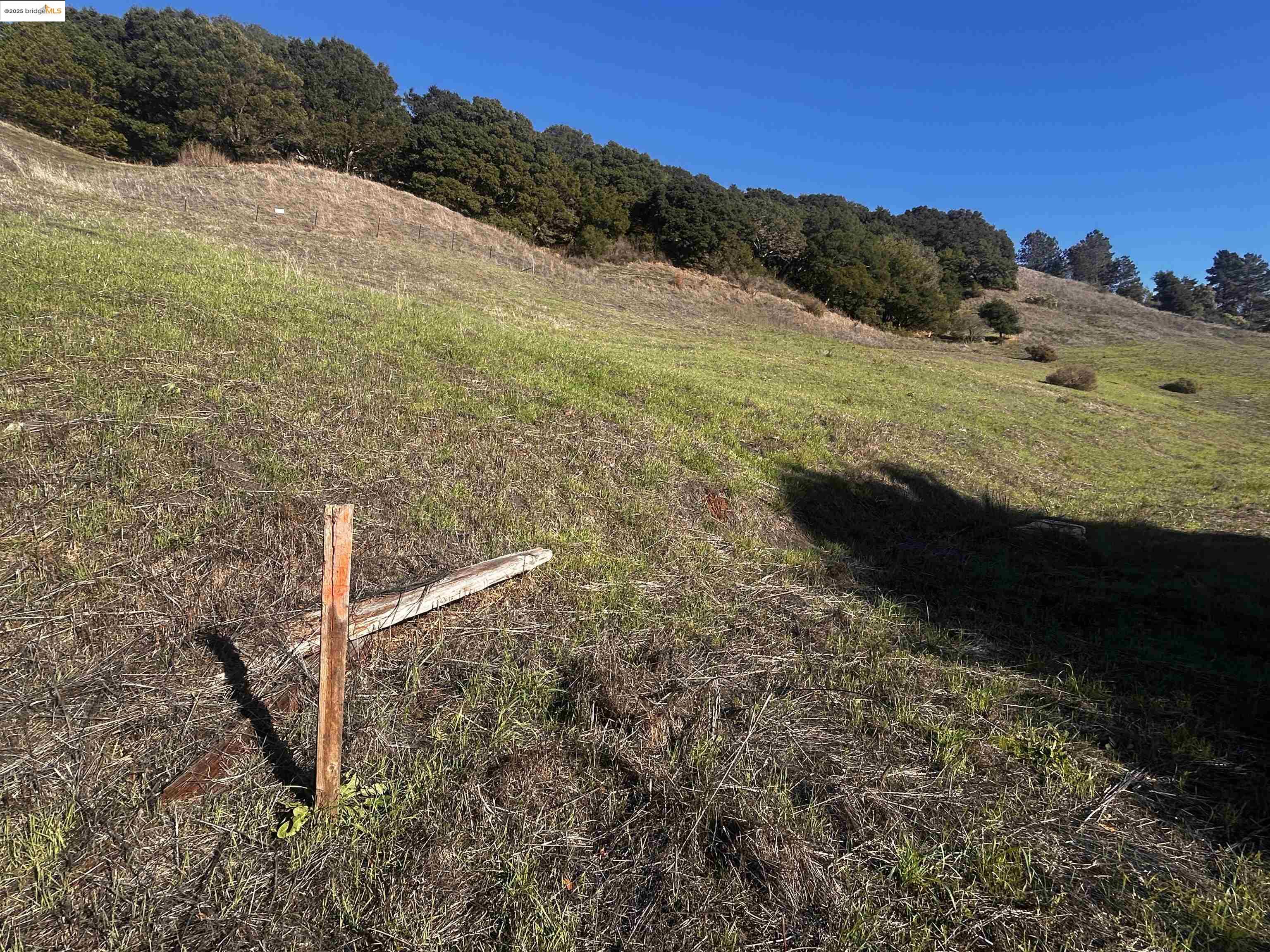 15 Abbie Ln, El Sobrante CA 94803 — photo 11